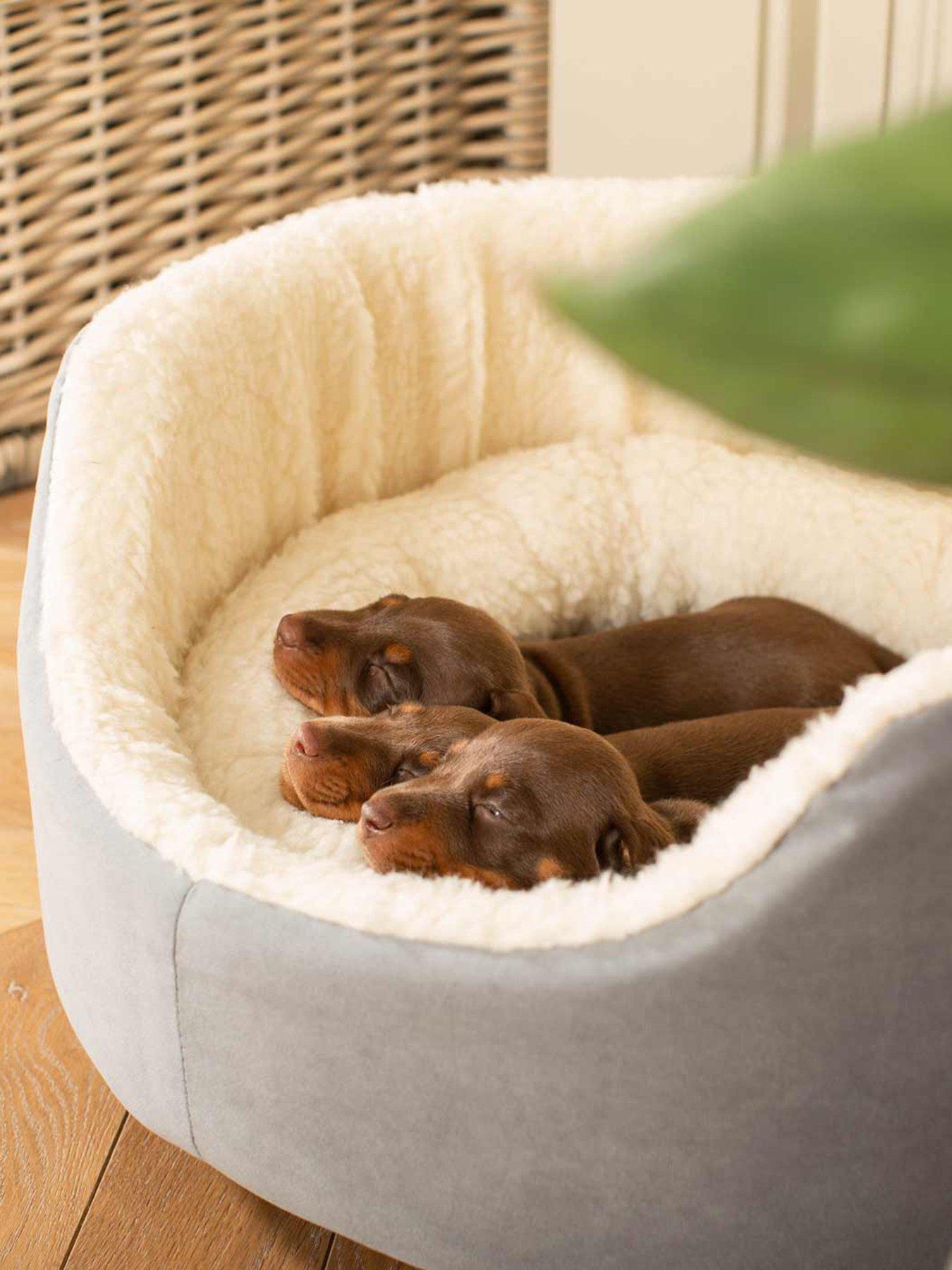 Image 1 of 3 of Lords and Labradors Grow With Me Puppy Bed Grey