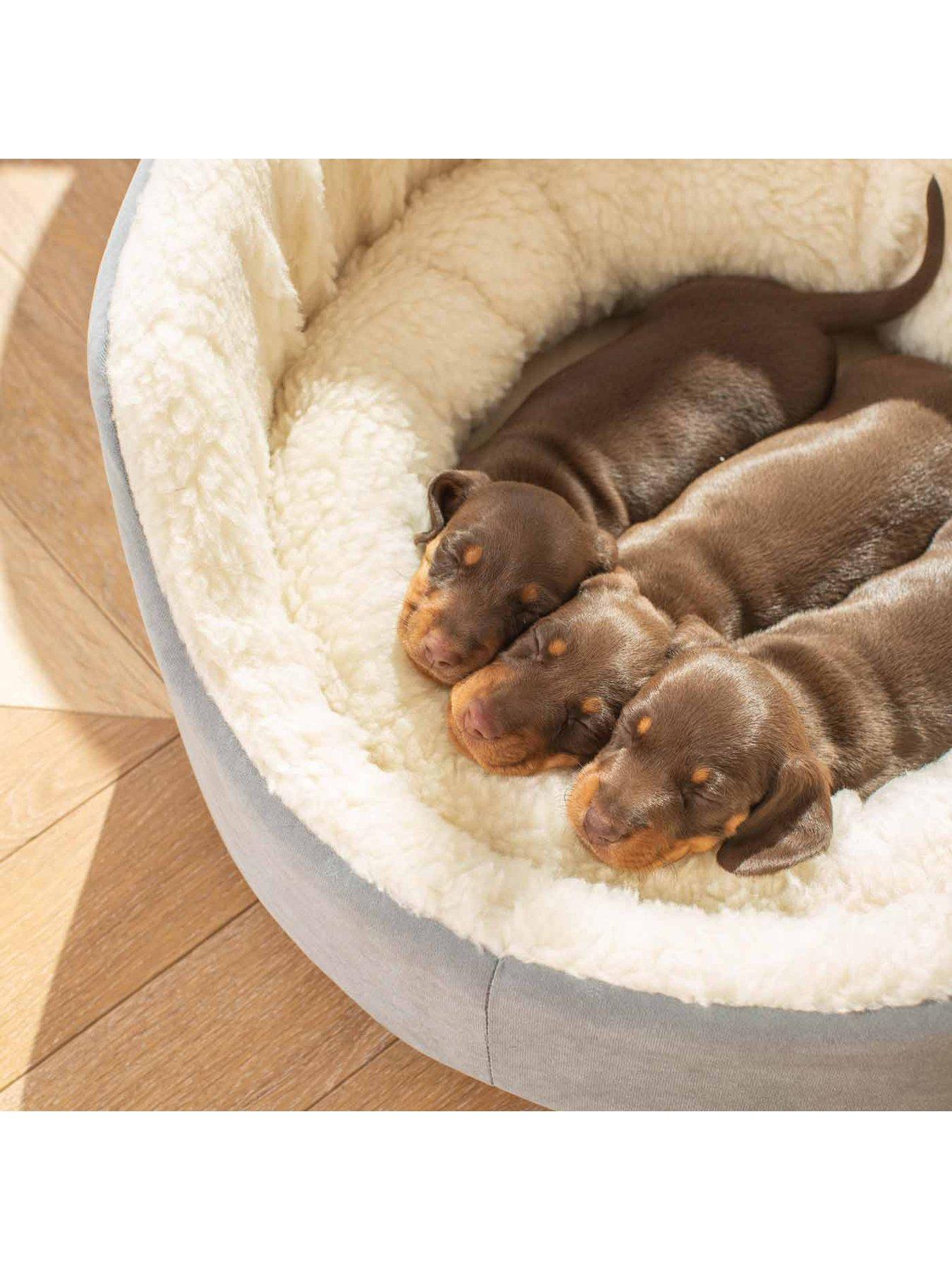 Image 3 of 3 of Lords and Labradors Grow With Me Puppy Bed Grey