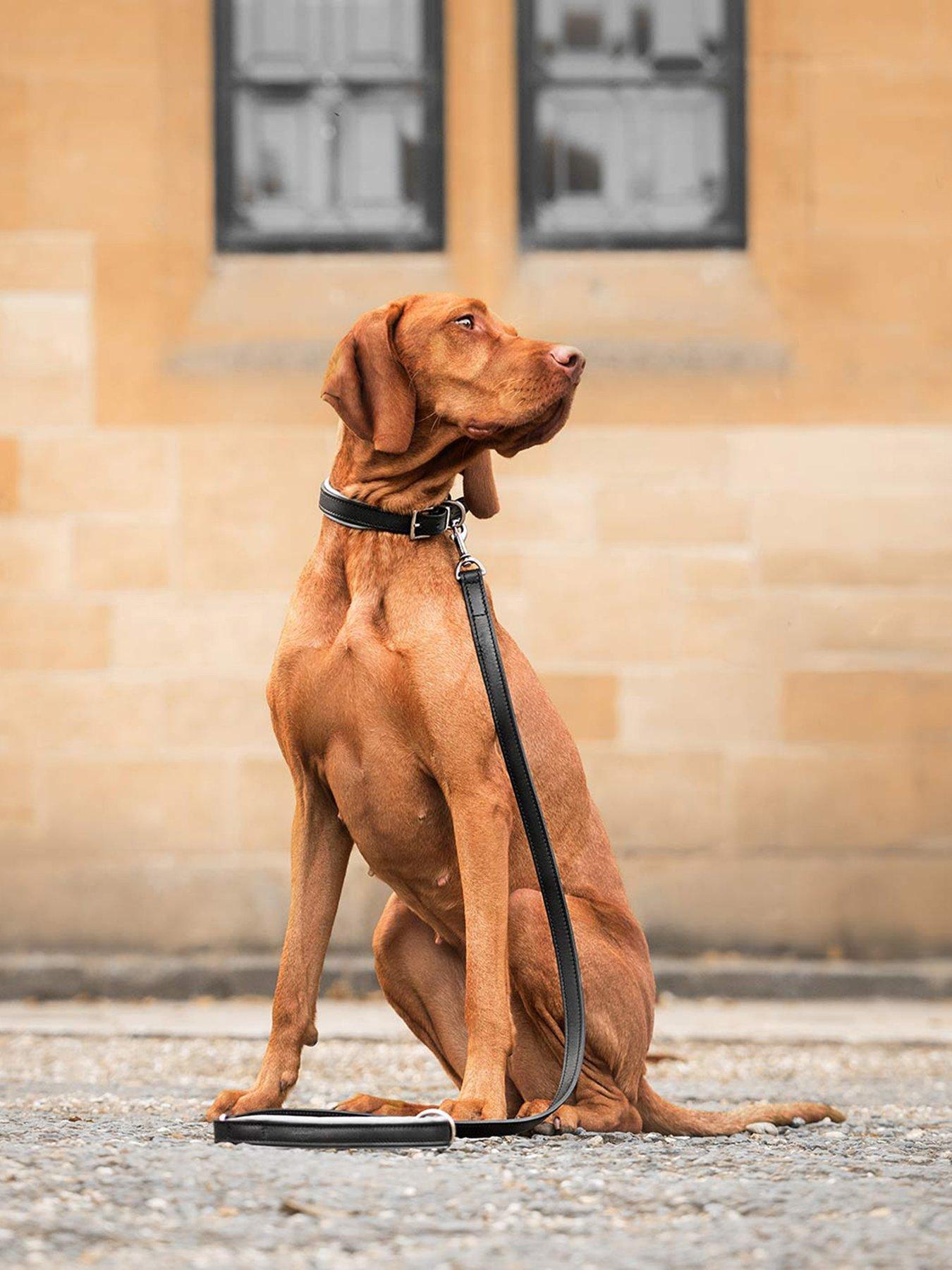 Lords and Labradors Italian Leather Collar Black  &  Grey