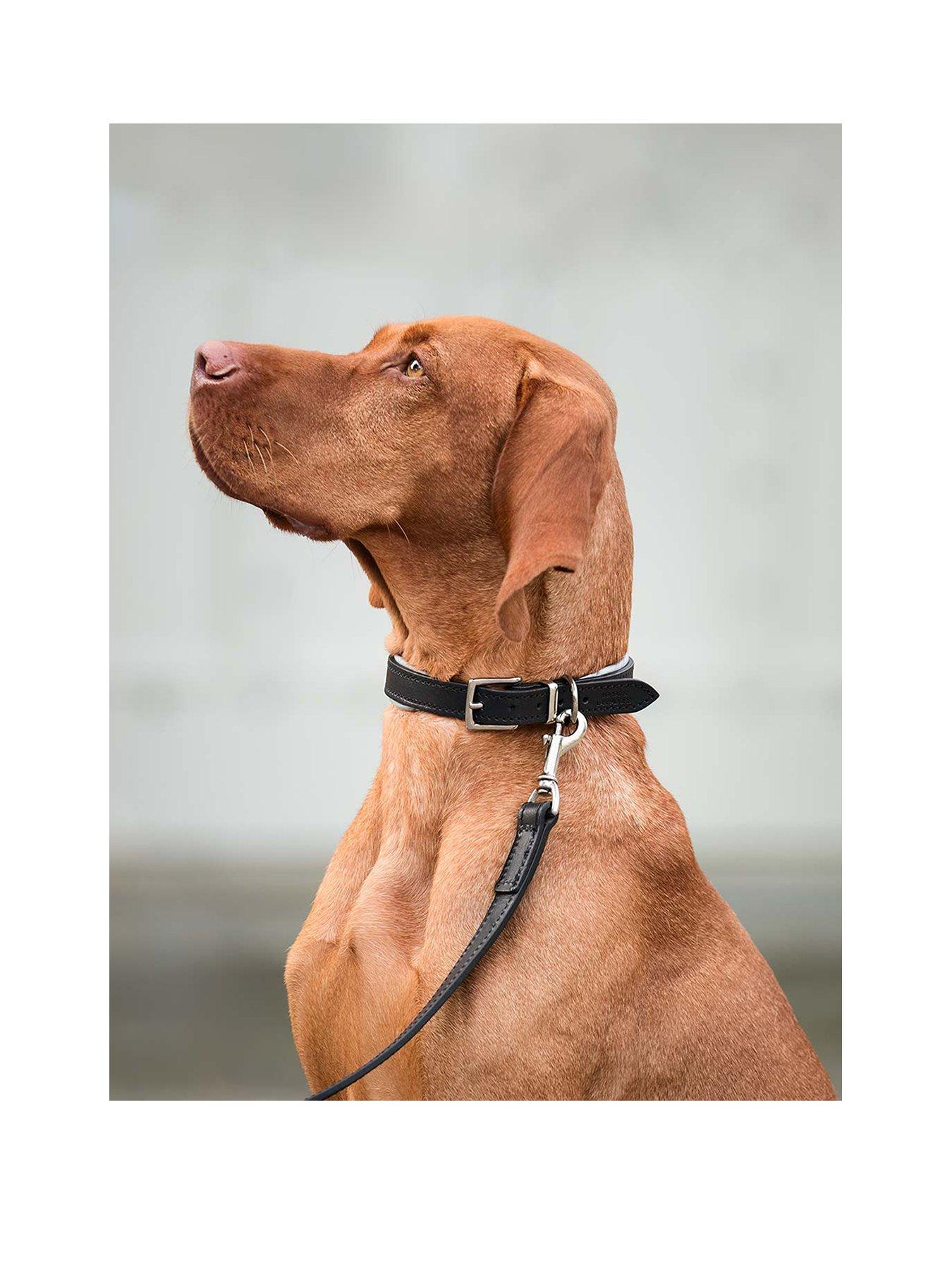 Image 2 of 4 of Lords and Labradors Italian Leather Collar Black & Grey