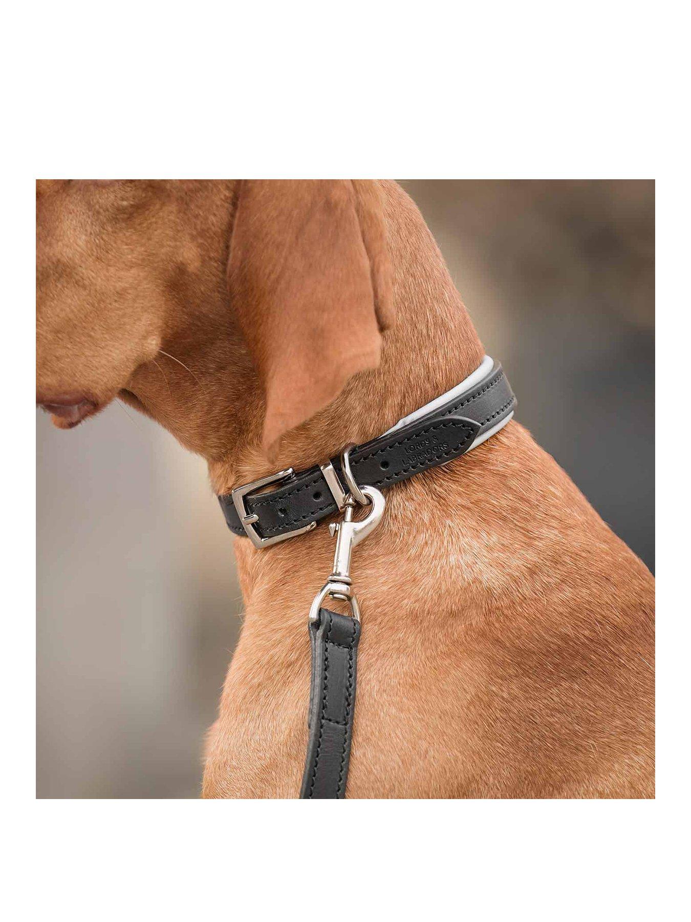 Image 3 of 4 of Lords and Labradors Italian Leather Collar Black & Grey