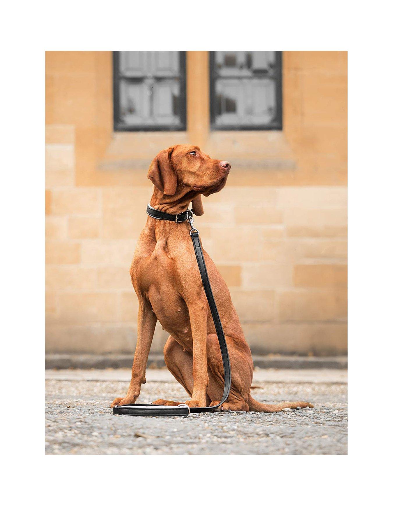 Lords and Labradors Italian Leather Lead Black  &  Grey