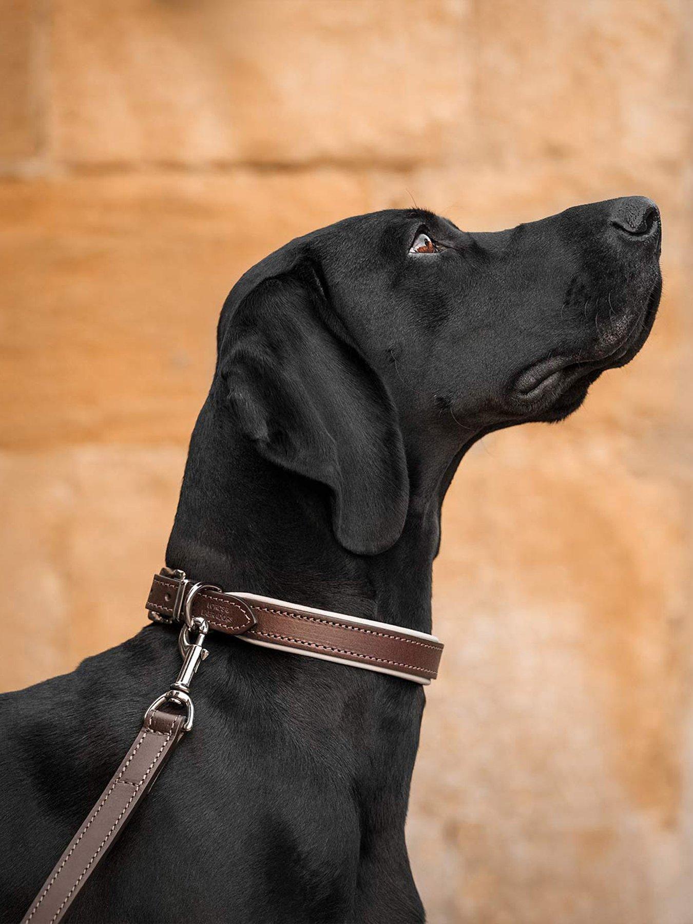 Lords and Labradors Italian Leather Collar Brown  &  Cream
