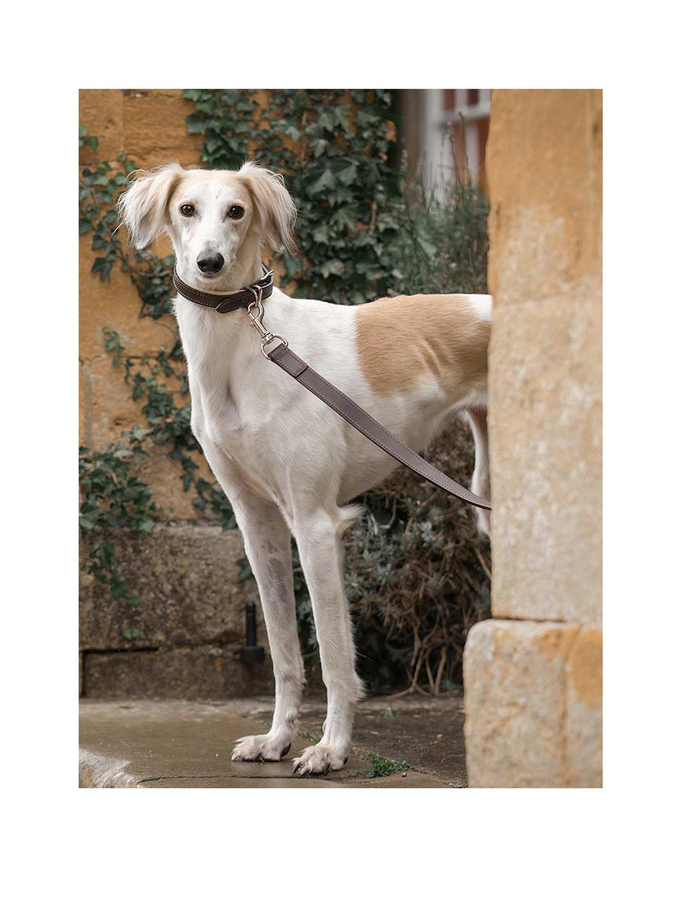 Lords and Labradors Italian Leather Lead Brown  &  Cream