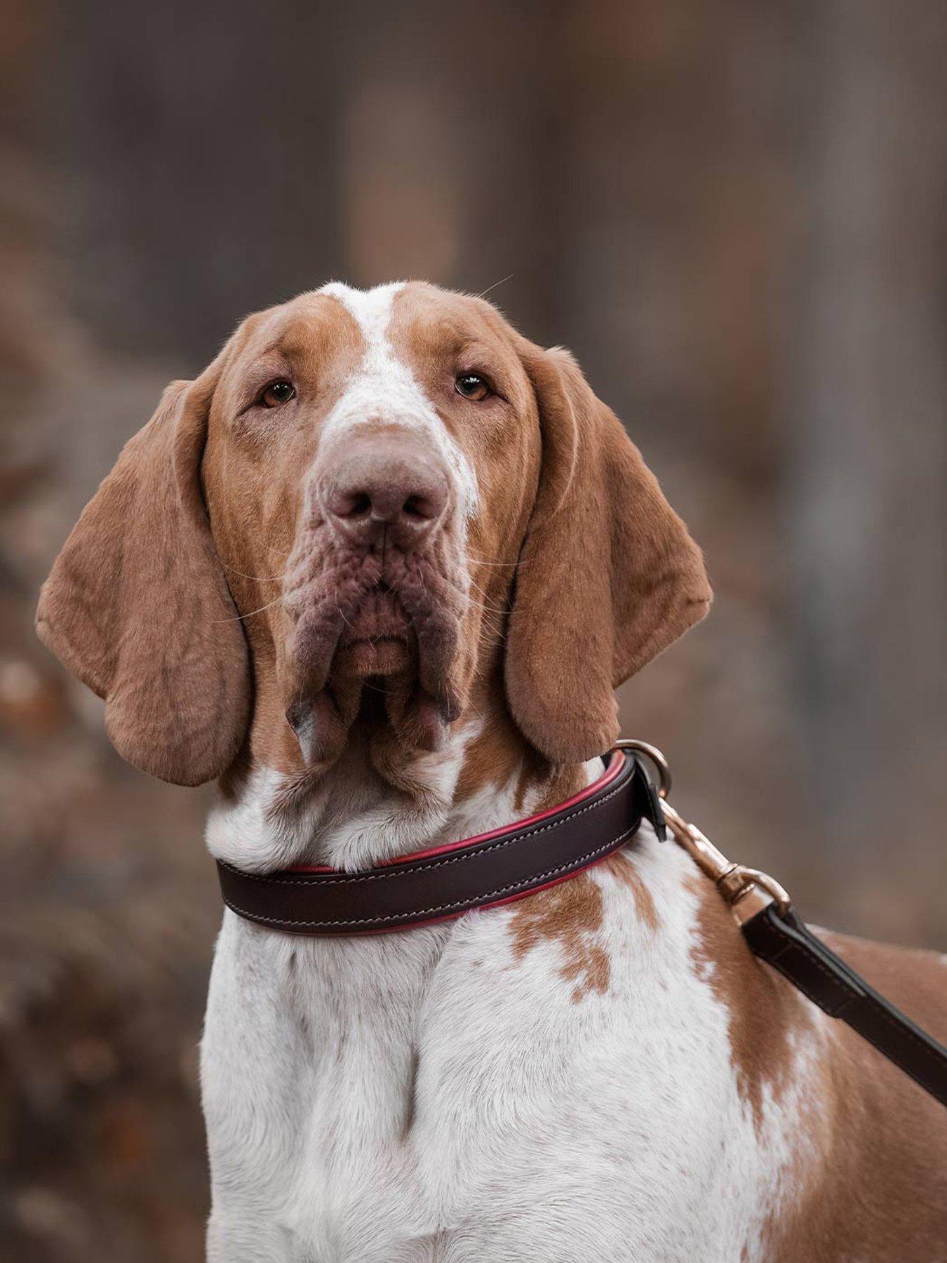 Lords and Labradors Italian Leather Collar Brown  &  Red