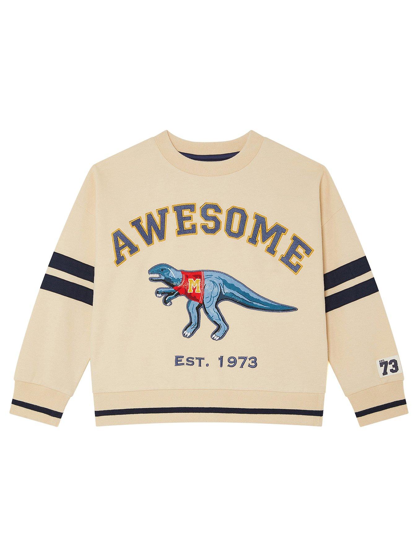 undefined Boys Dinosaur Varsity Sweatshirt - Beige