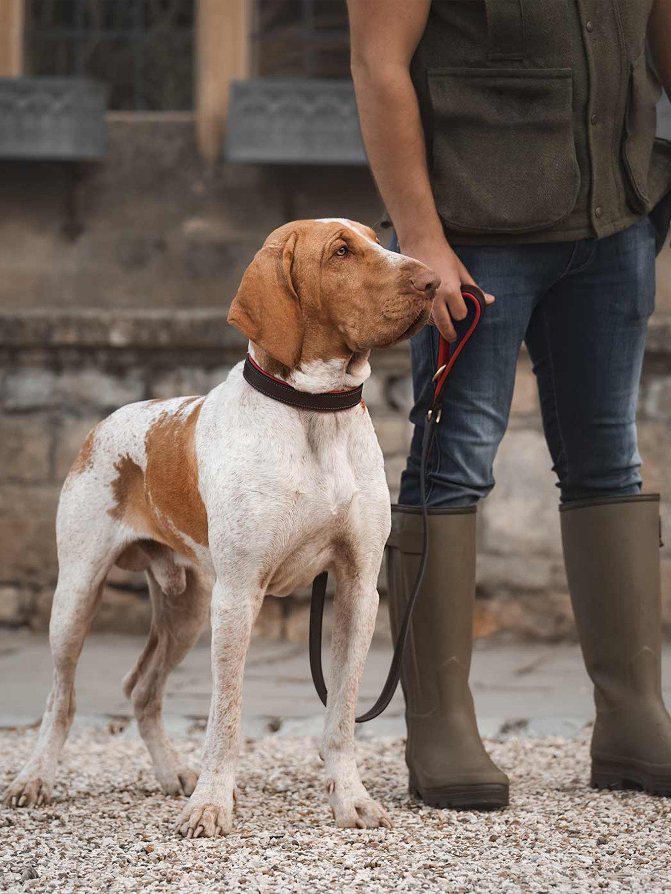 Lords and Labradors Italian Leather Lead Brown  &  Red