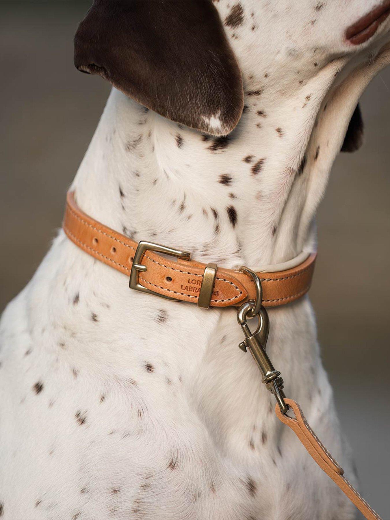Lords and Labradors Italian Leather Collar Tan  &  Cream