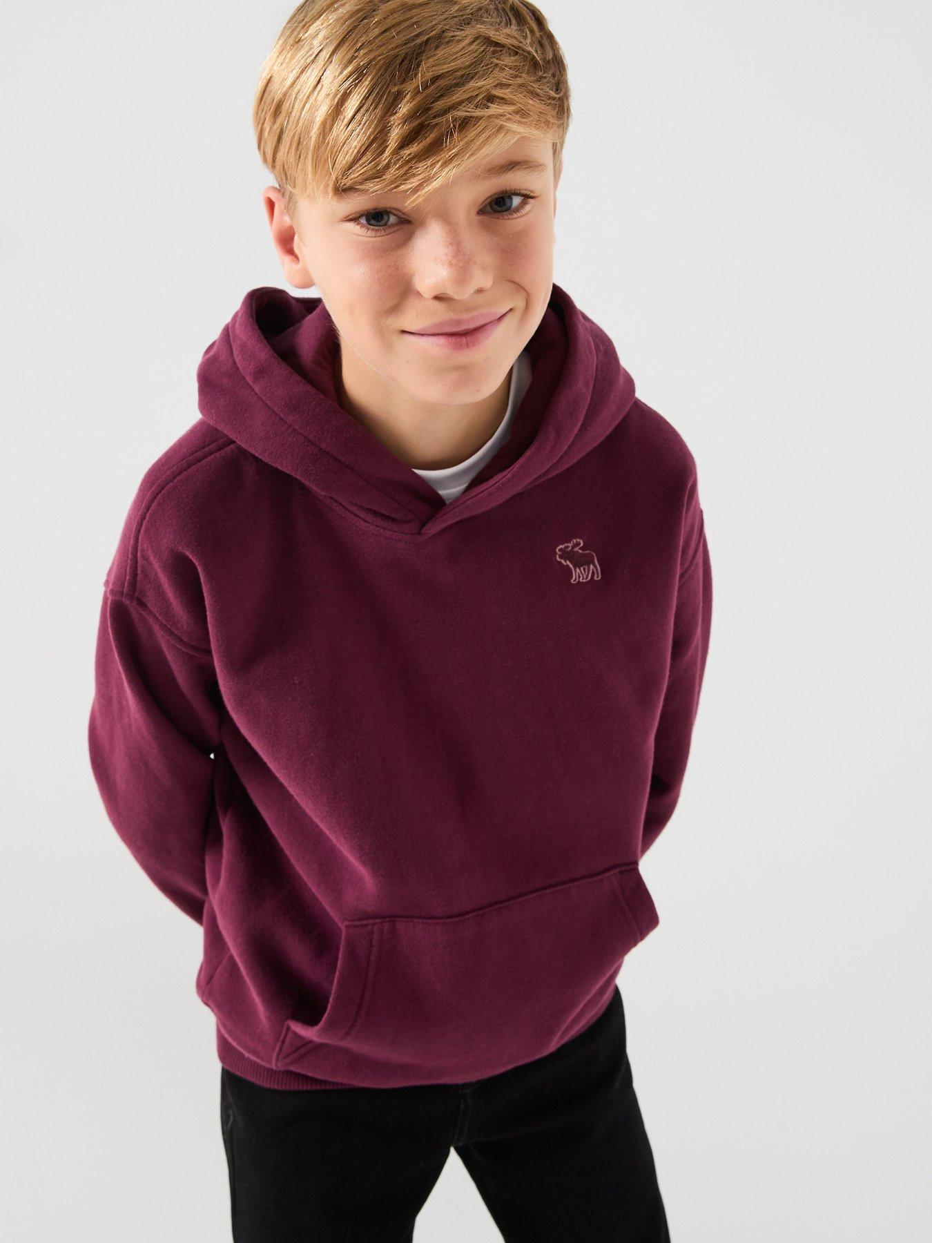 Abercrombie & Fitch Boys Essentials Fleece Hoodie - Red