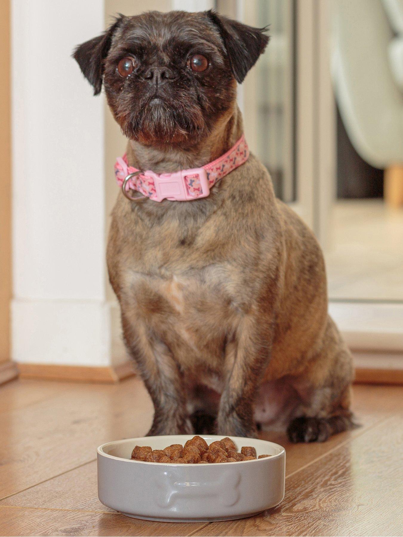 Mason Cash Colour Mix Set Of 2 Dog Bowls