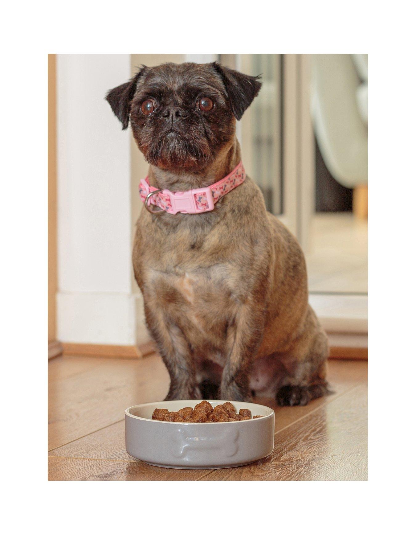 Mason Cash Colour Mix Set Of 2 Dog Bowls