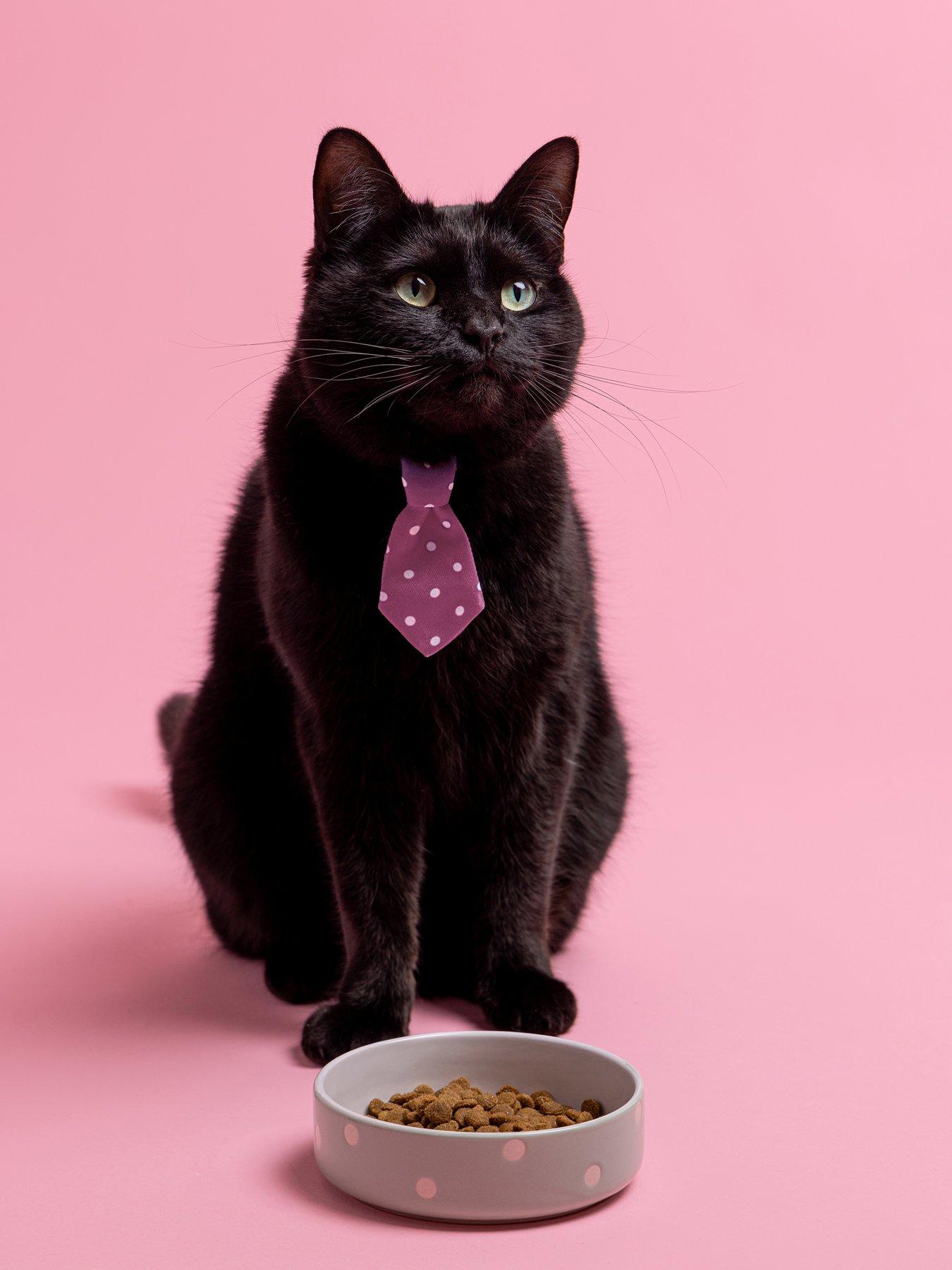 Mason Cash Polka Dot Sage Set of 2 Pet Bowls