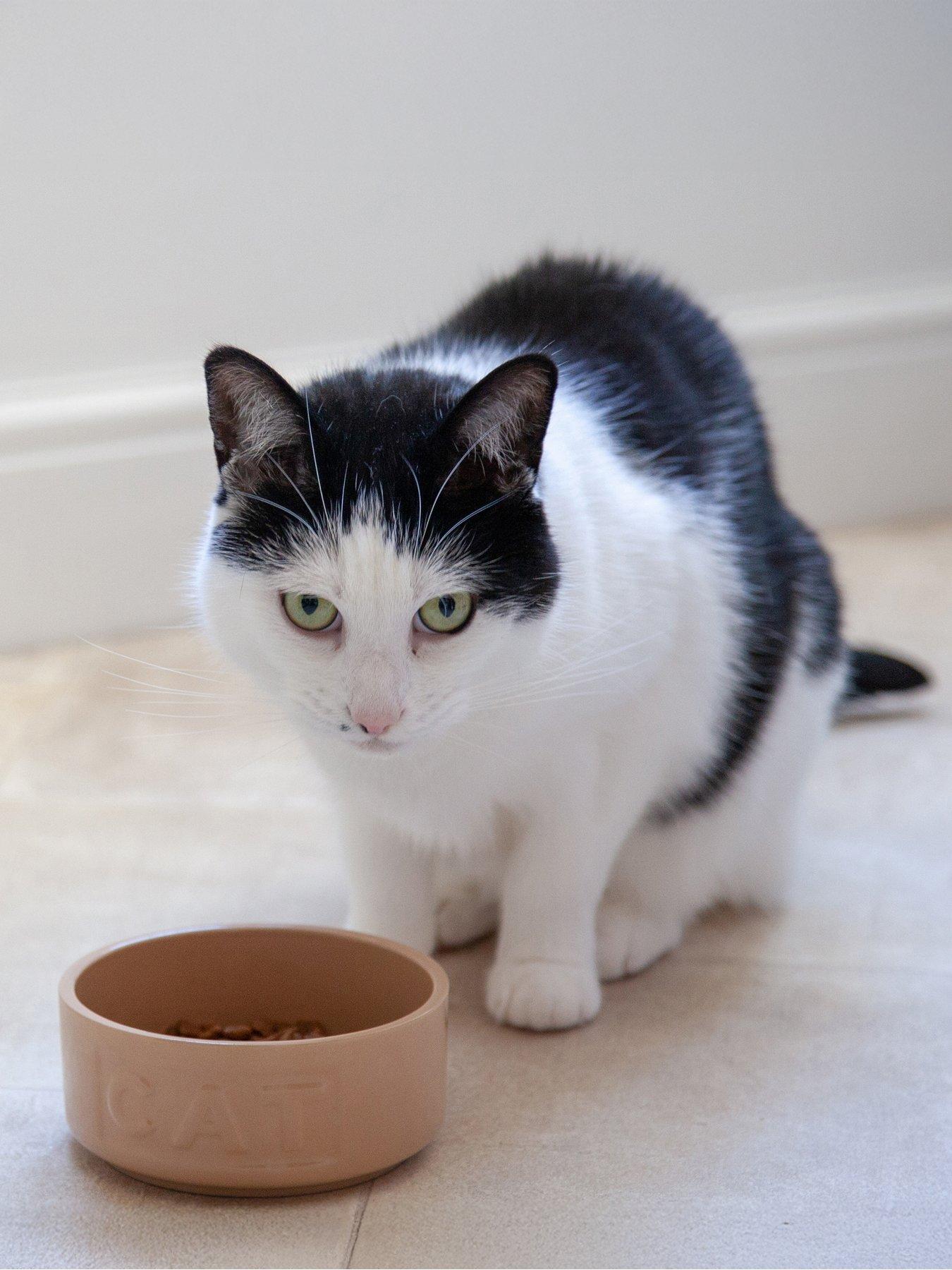 Image 3 of 6 of Mason Cash Cane Lettered Cat Bowl 13cm