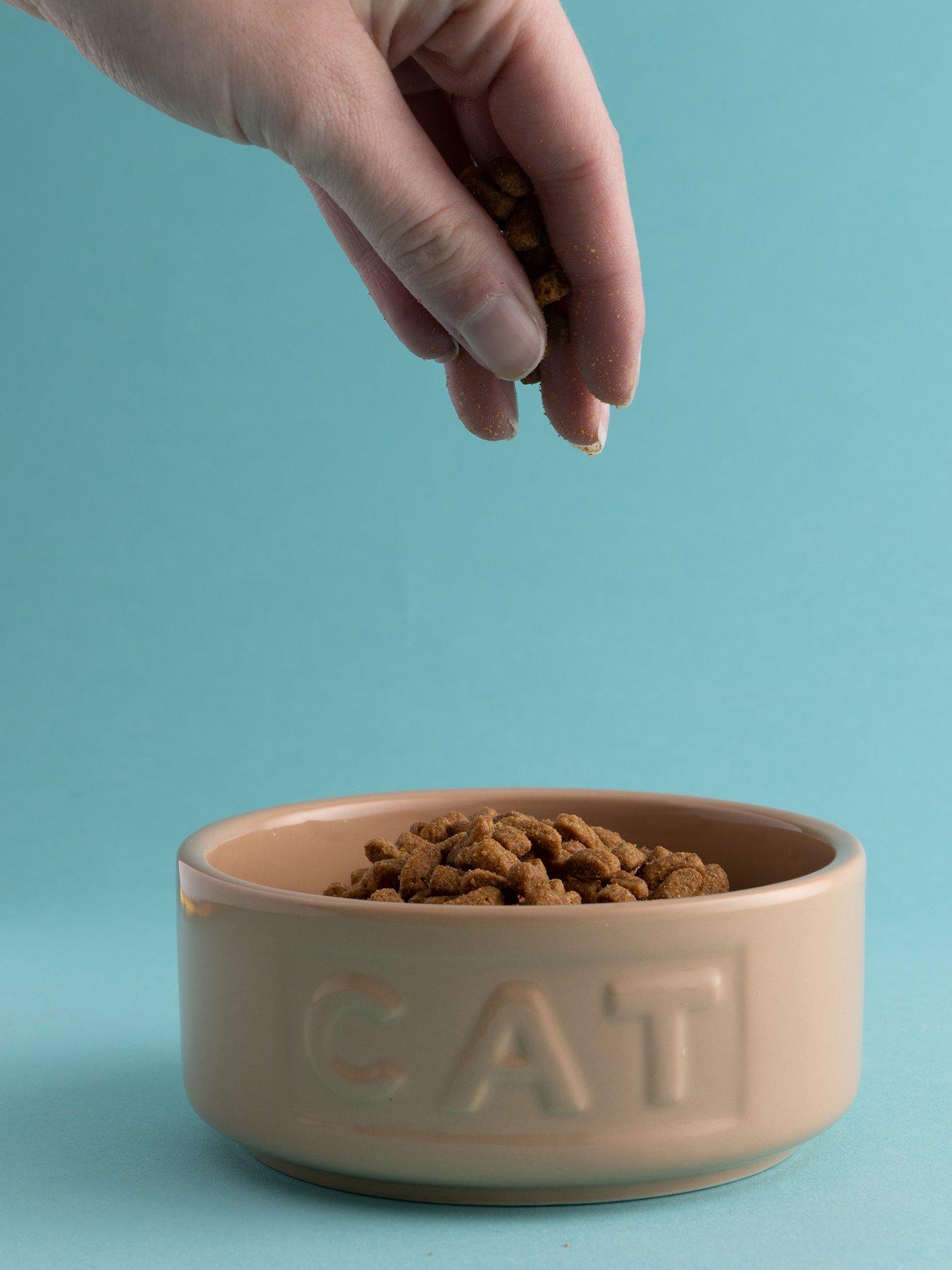 Image 4 of 6 of Mason Cash Cane Lettered Cat Bowl 13cm