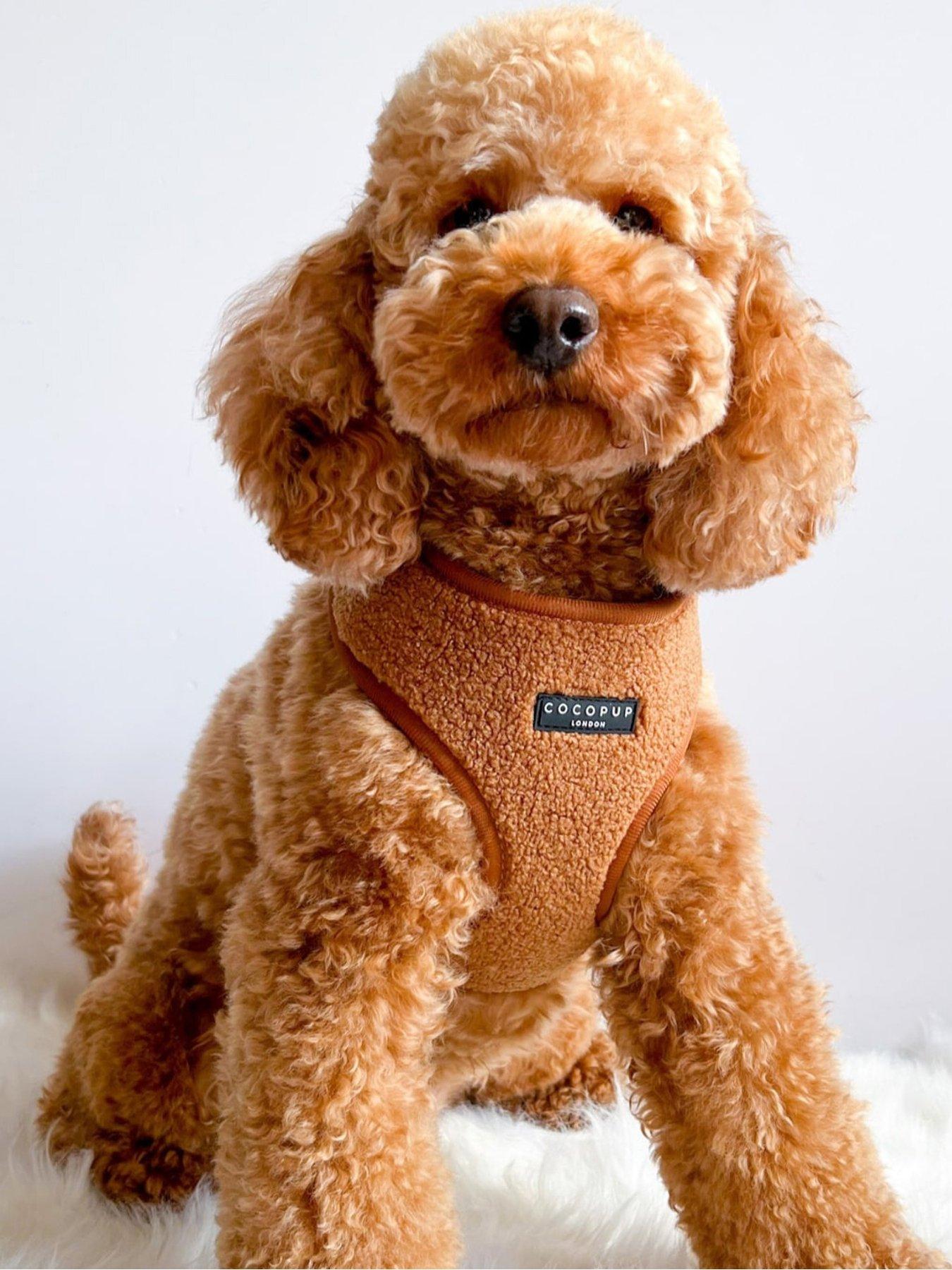 undefined Teddy Paddington Harness - Small