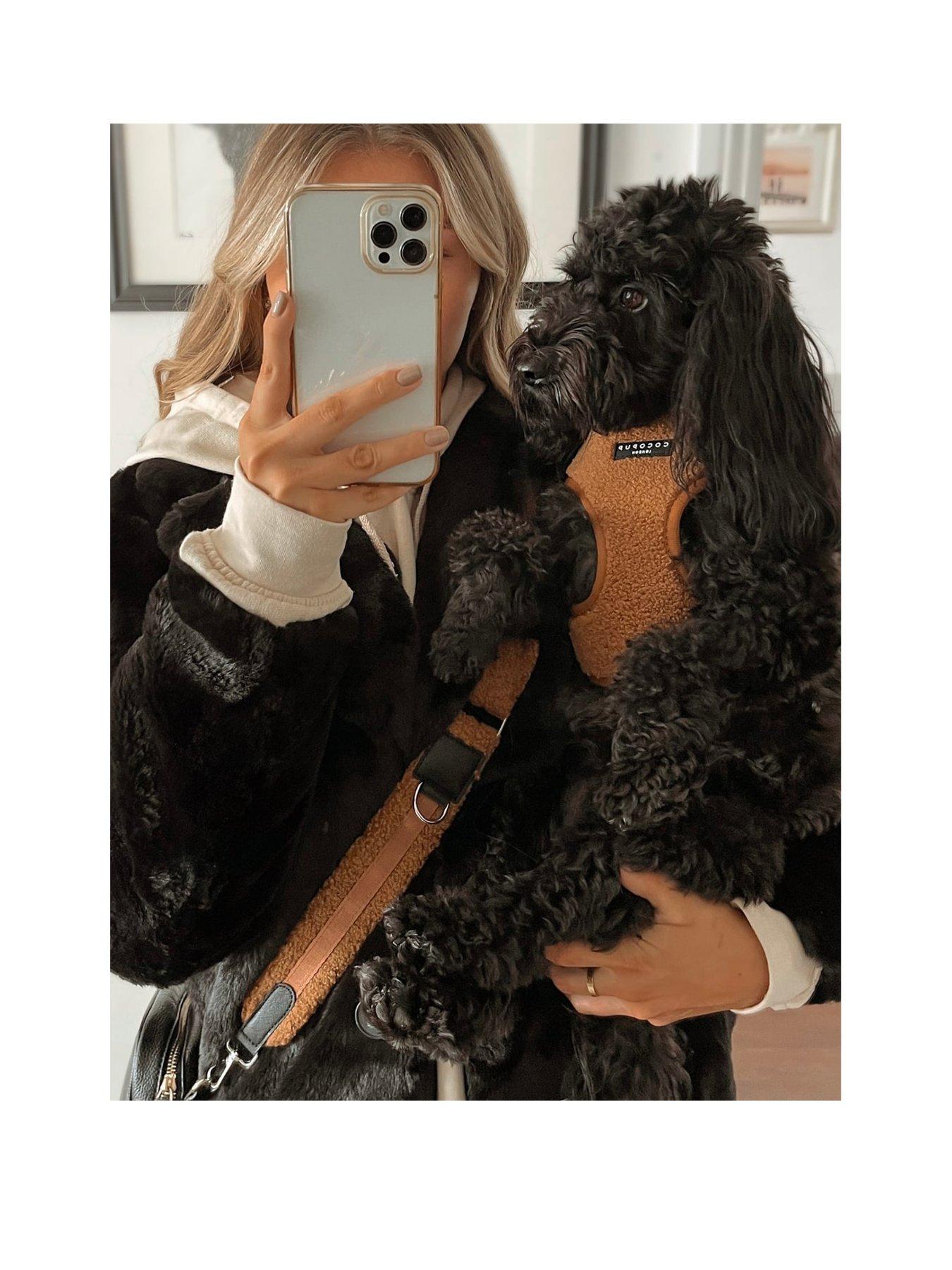 Image 3 of 4 of Cocopup Teddy Paddington Harness