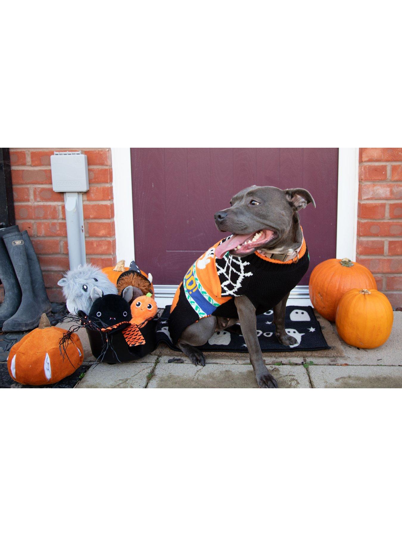Image 1 of 5 of Rosewood Halloween Roll Neck Jumper