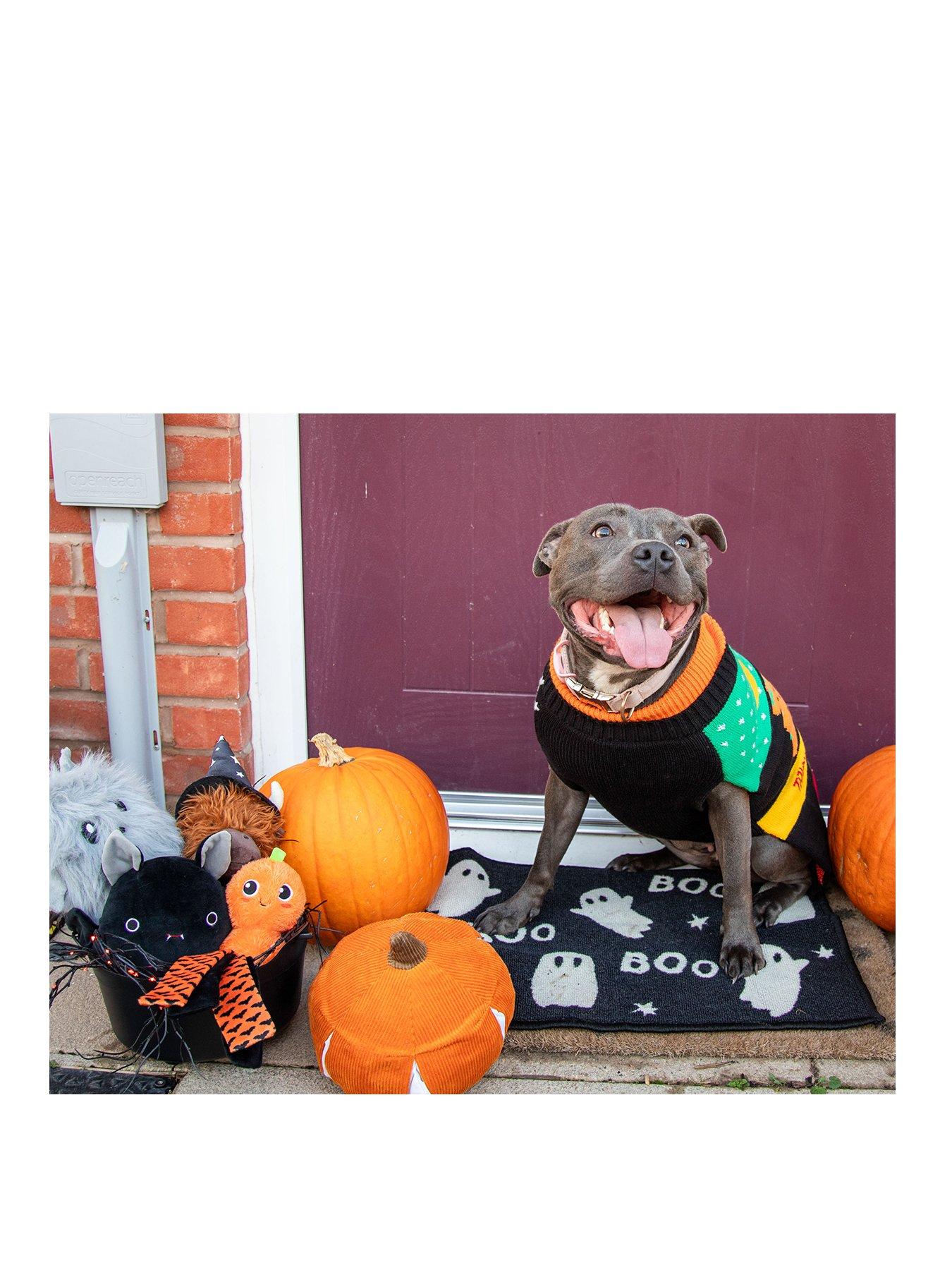 Image 2 of 5 of Rosewood Halloween Roll Neck Jumper
