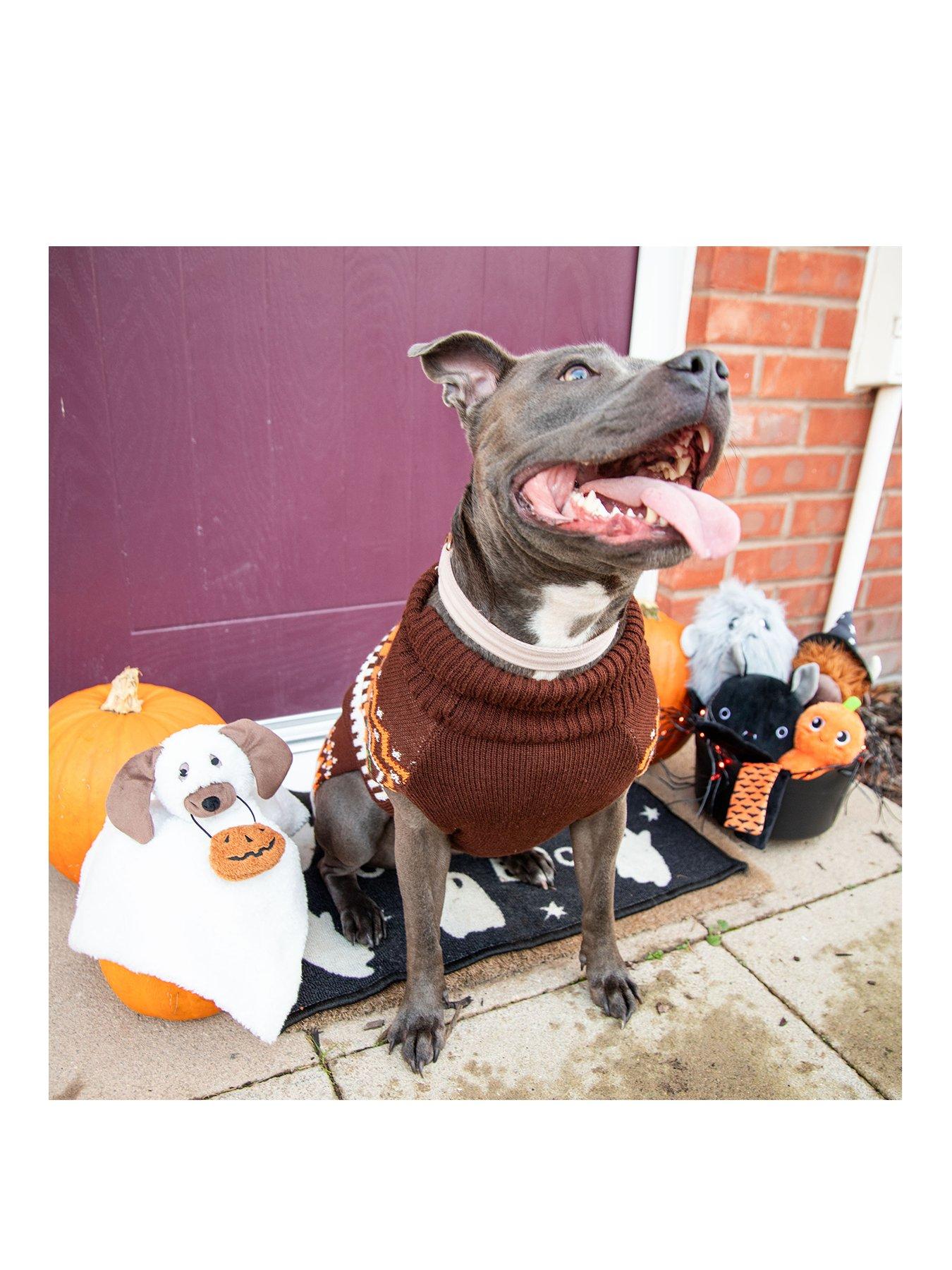 Image 3 of 5 of Rosewood Halloween Roll Neck Jumper