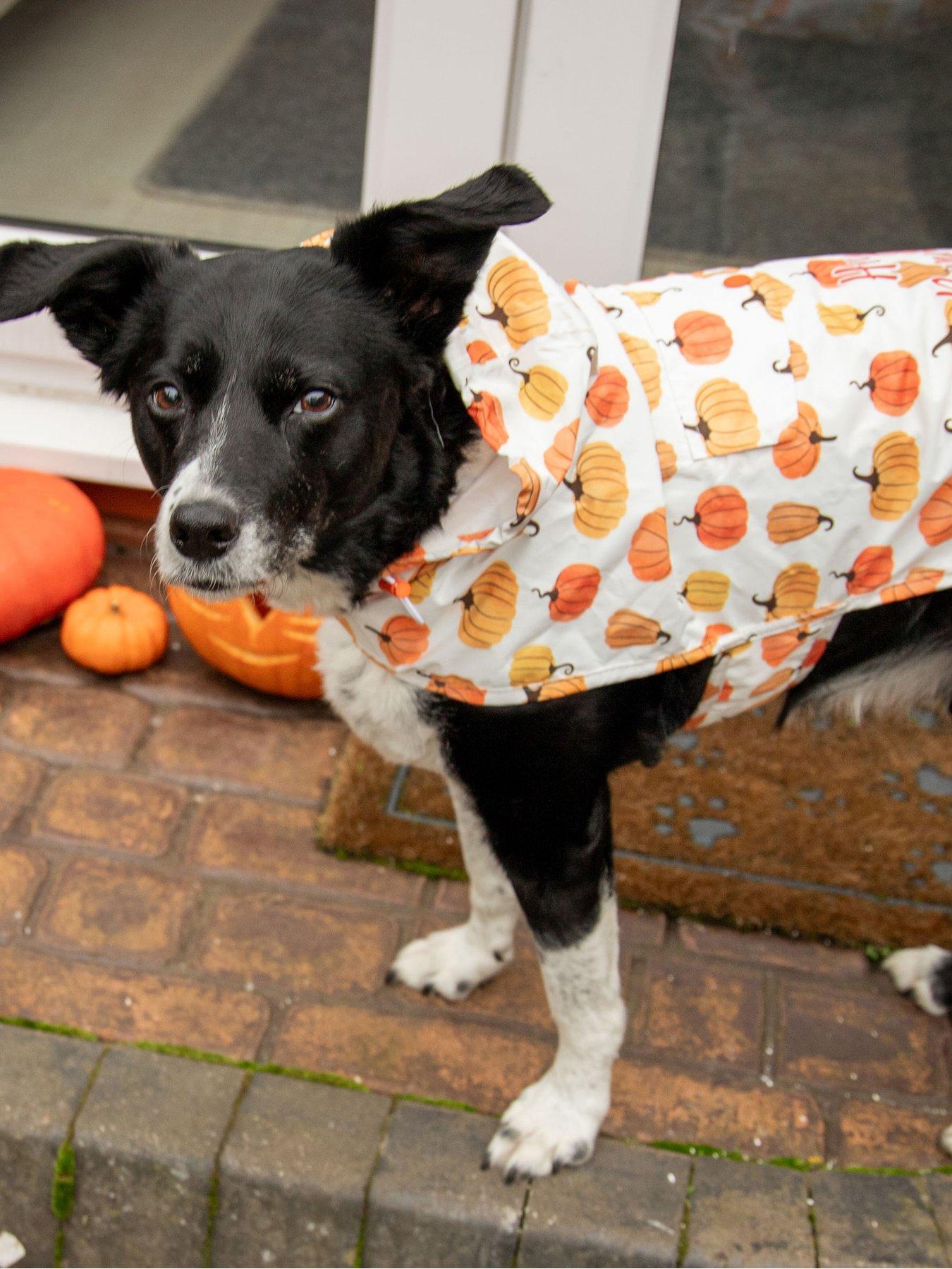 Image 5 of 6 of Rosewood Halloween Packaway Jacket Small
