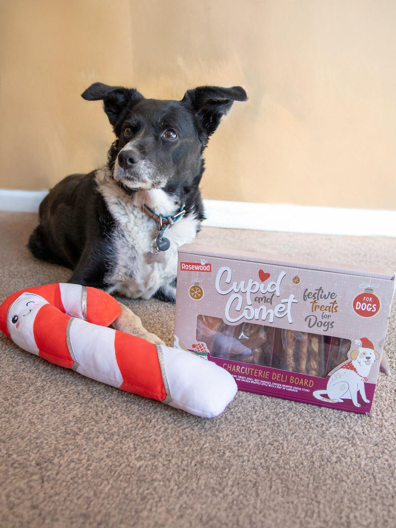 undefined Christmas Charcuterie Deli Board for Dogs 200g & Plush Cany Cane toy Bundle