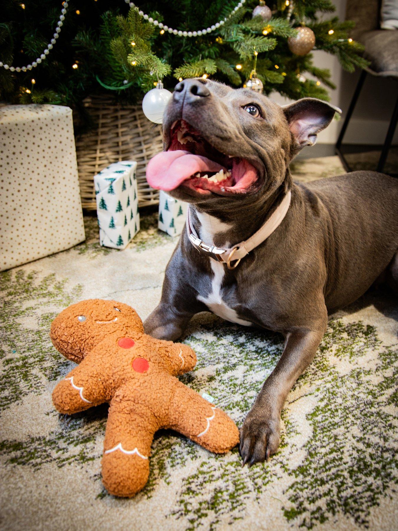 Image 3 of 6 of Rosewood Tufflove Gingerbread Dog Toy