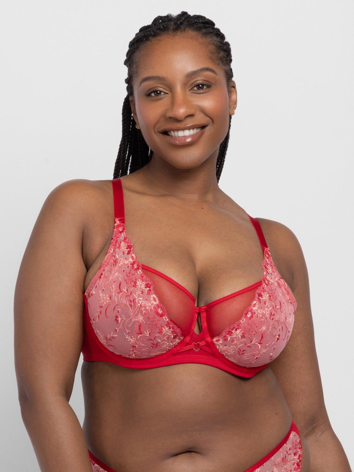 Image 1 of 5 of DORINA Erinnon Padded Wired Bra - Red