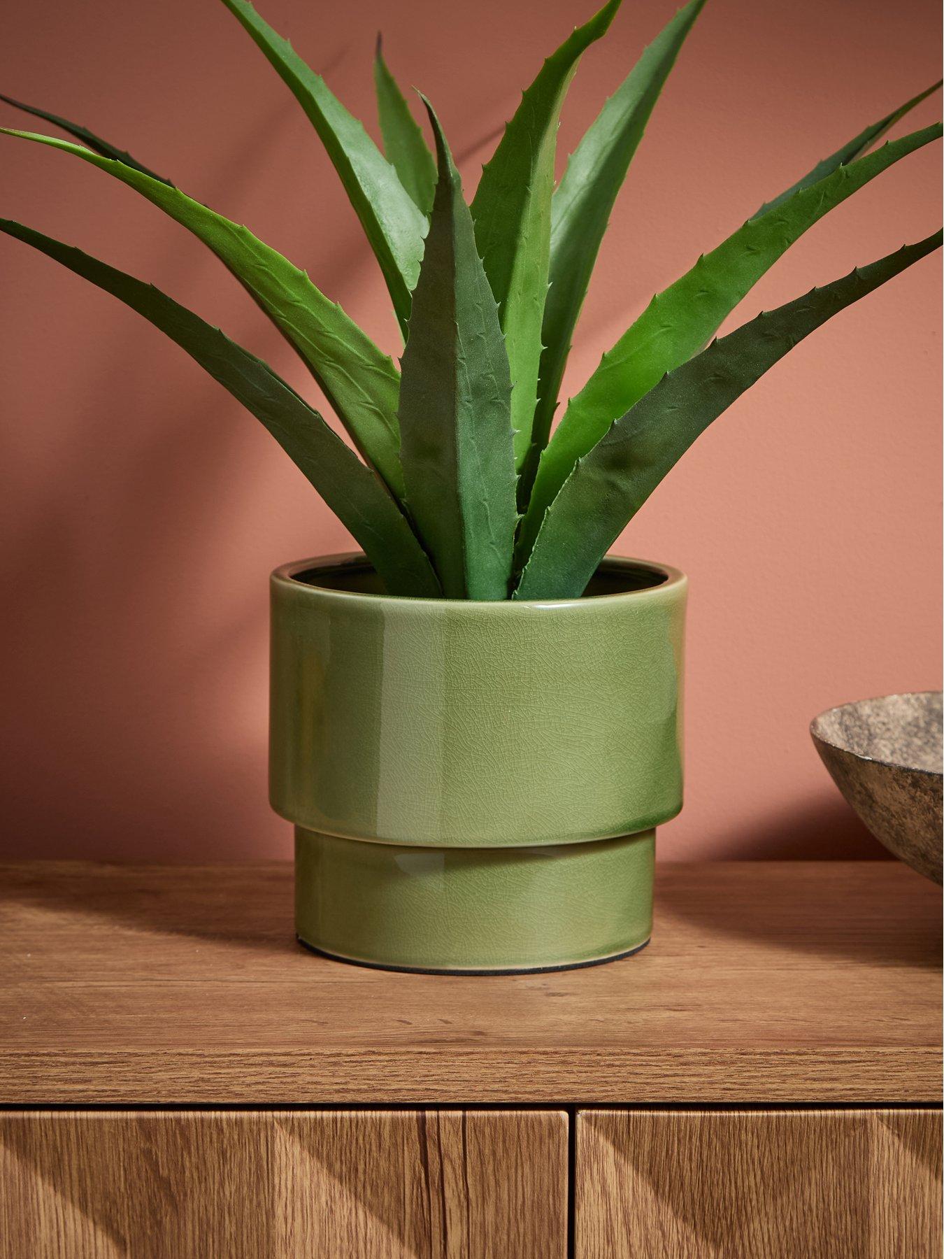 The Very Collection: Green Ceramic Revive Planter