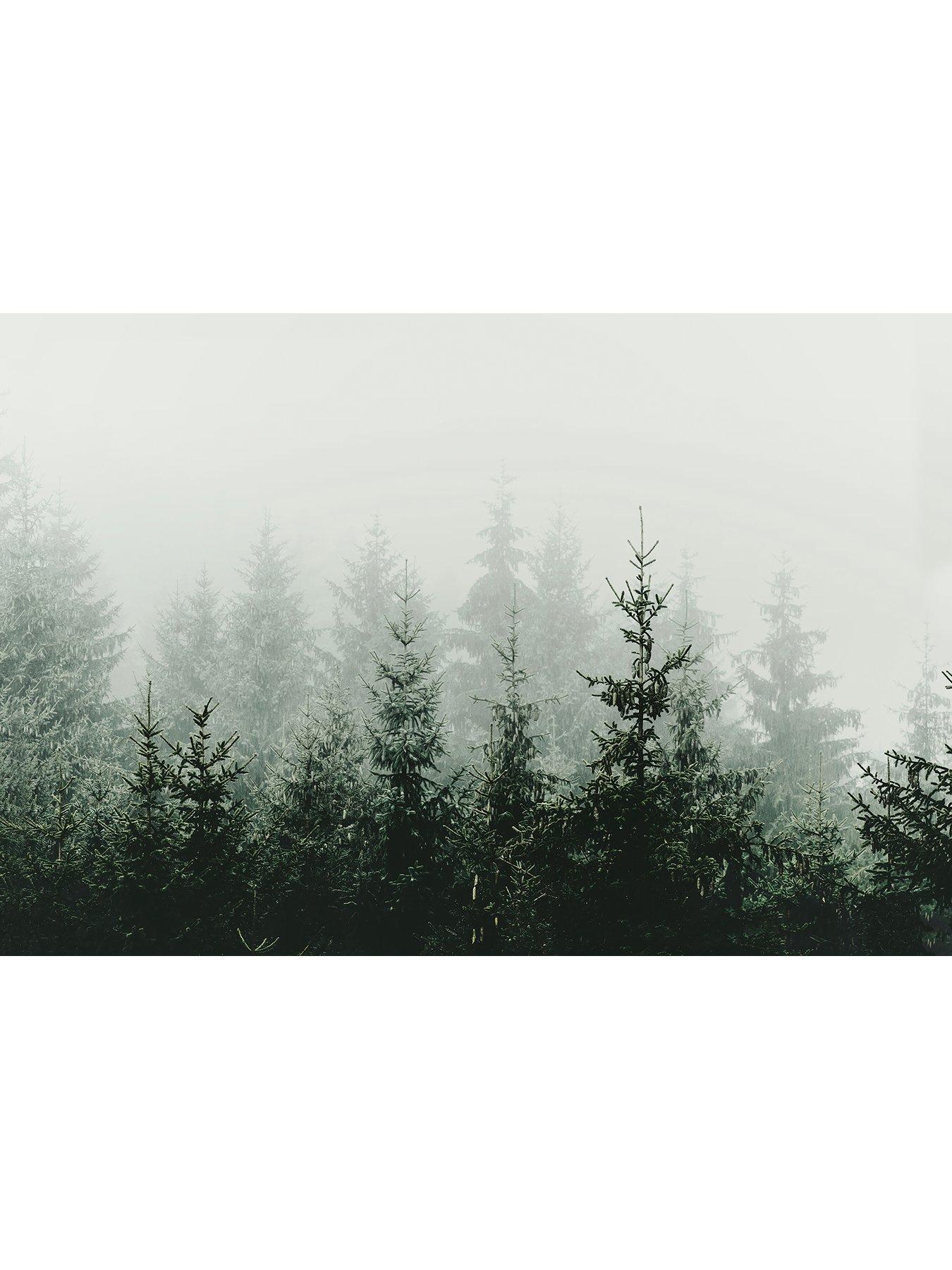 Image 3 of 3 of AS Creation Mountain Forest  Digital Mural 400cm X 270cm