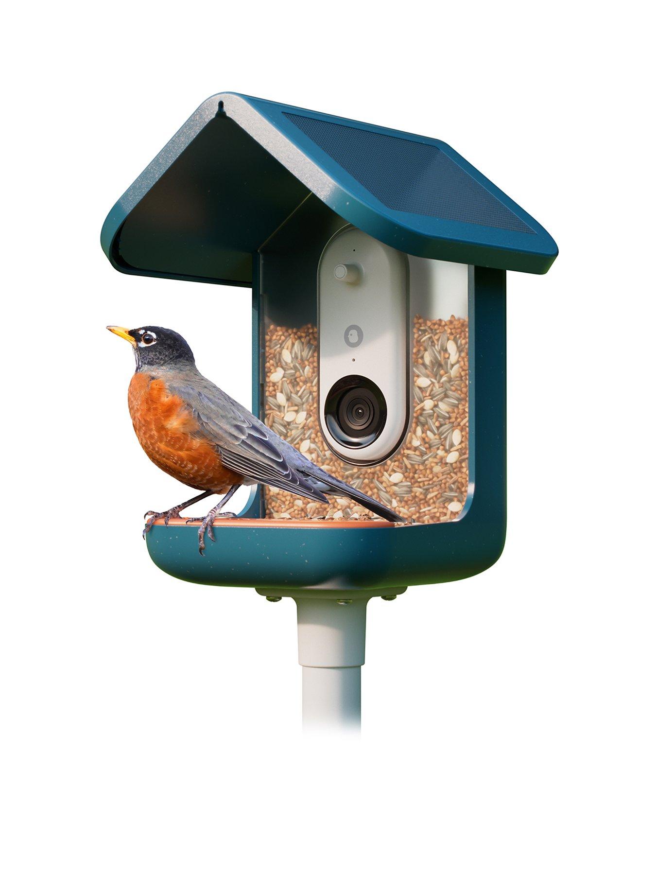 Birdbuddy Smart Bird Feeder Blue