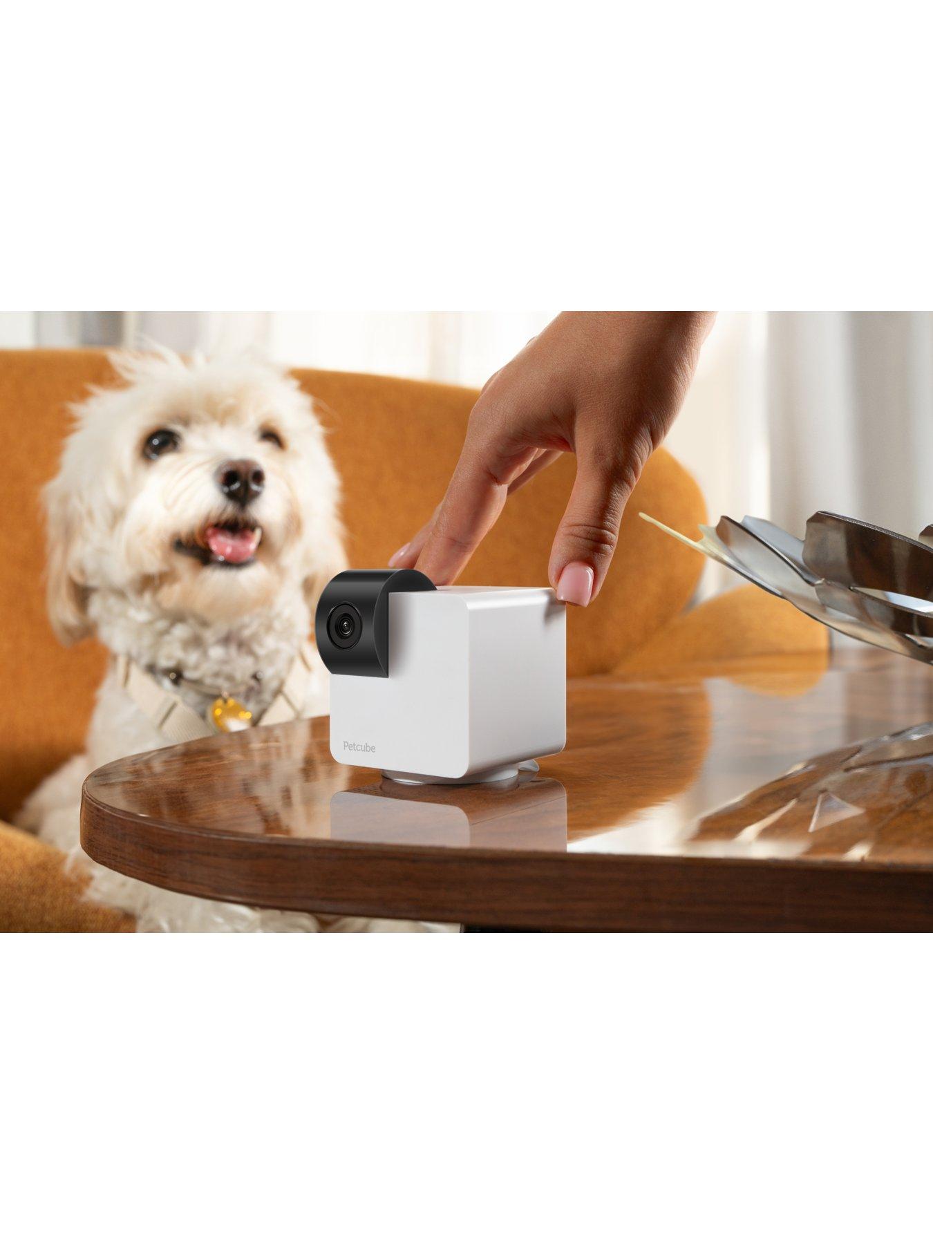 Image 3 of 6 of Petcube Cam 360 Pet monitoring Camera