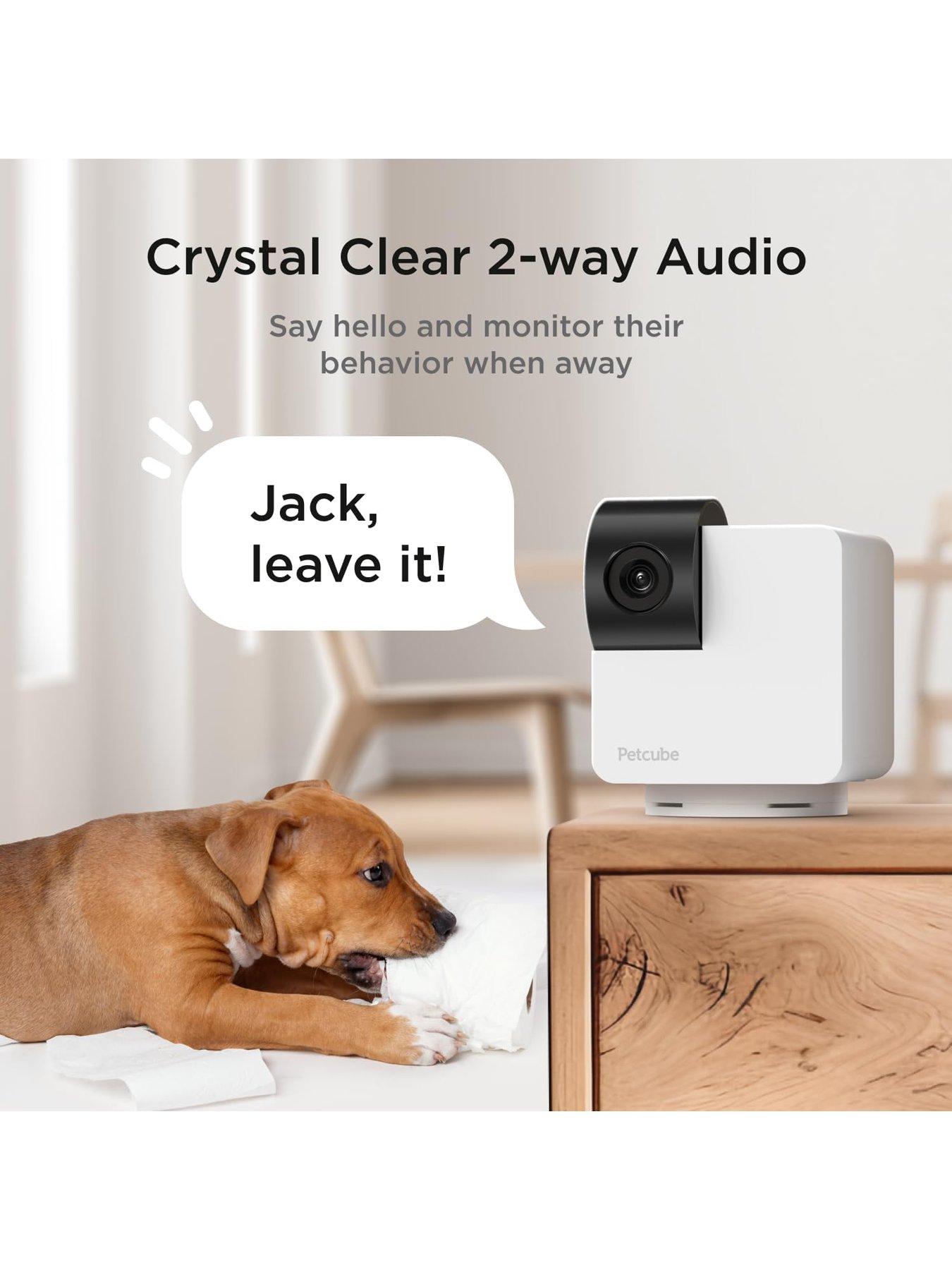 Image 4 of 6 of Petcube Cam 360 Pet monitoring Camera