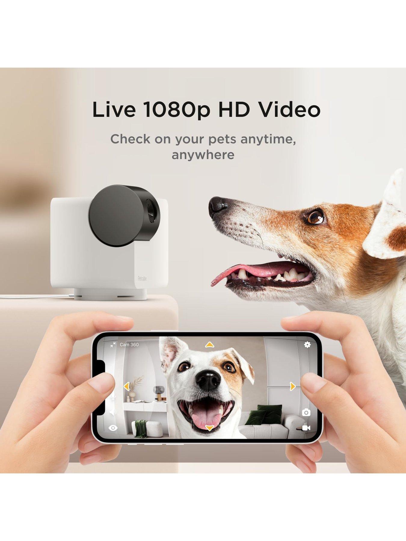 Image 6 of 6 of Petcube Cam 360 Pet monitoring Camera