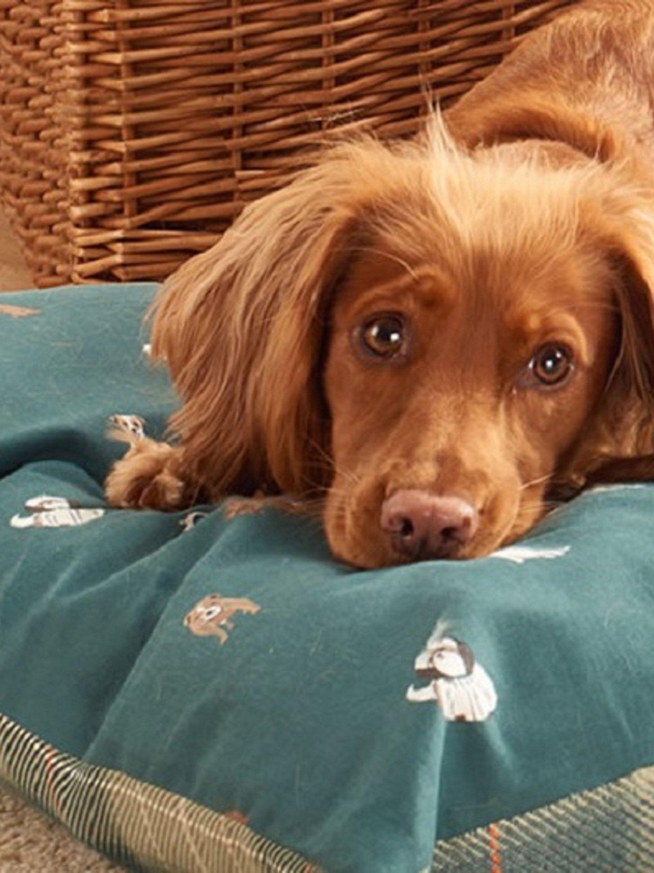 Image 2 of 6 of Laura Ashley Park Dogs Deep Mattress Dog Bed