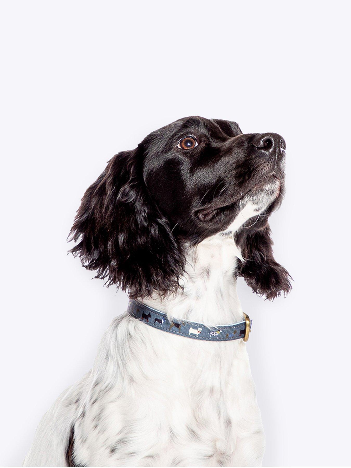 FatFace Marching Dogs Collar Small 1.5cm