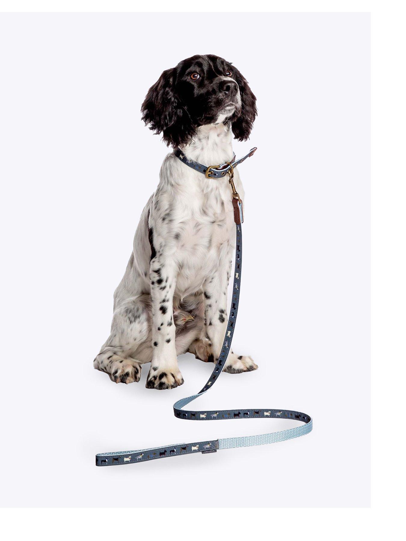 FatFace Marching Dogs Lead Medium 2cm