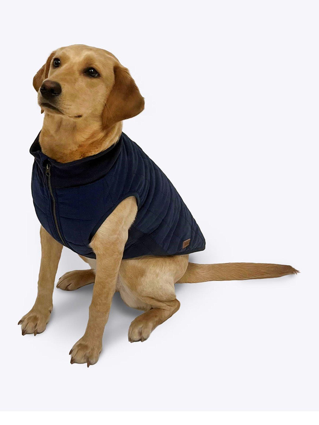 FatFace Harley Puffer Dog Coat 35cm