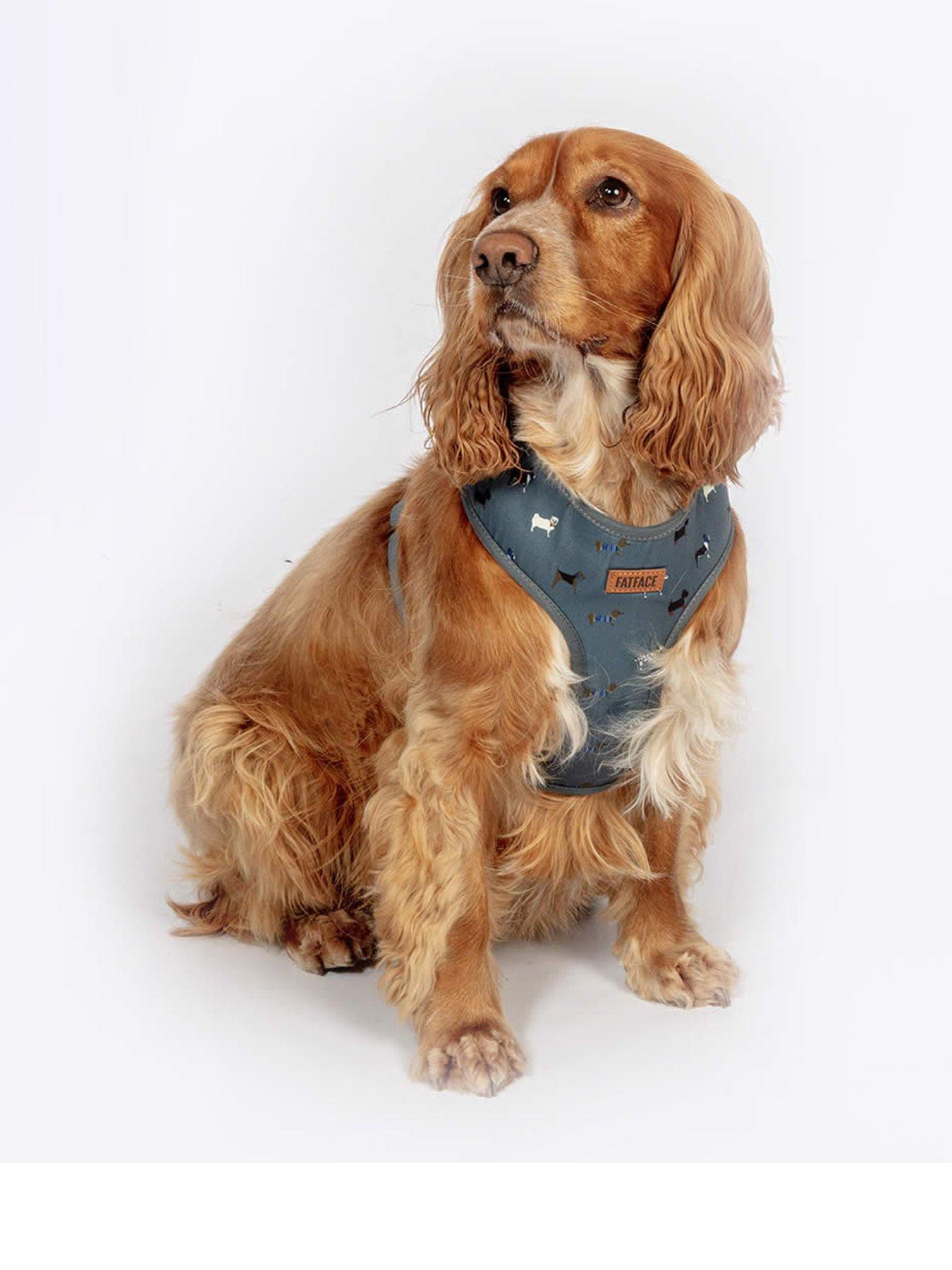 FatFace Marching Dogs Harness X-Small 34-45cm