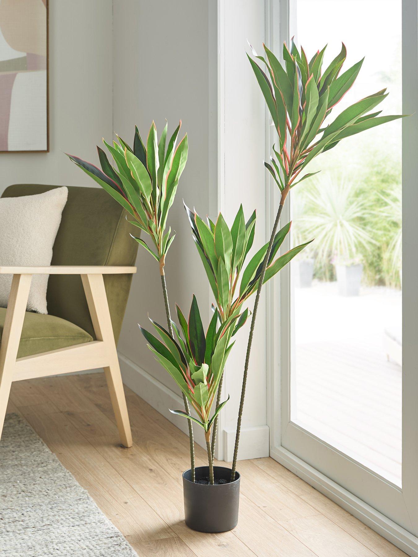 The Very Collection 120cm Real Touch Red Dracaena In Plastic Pot