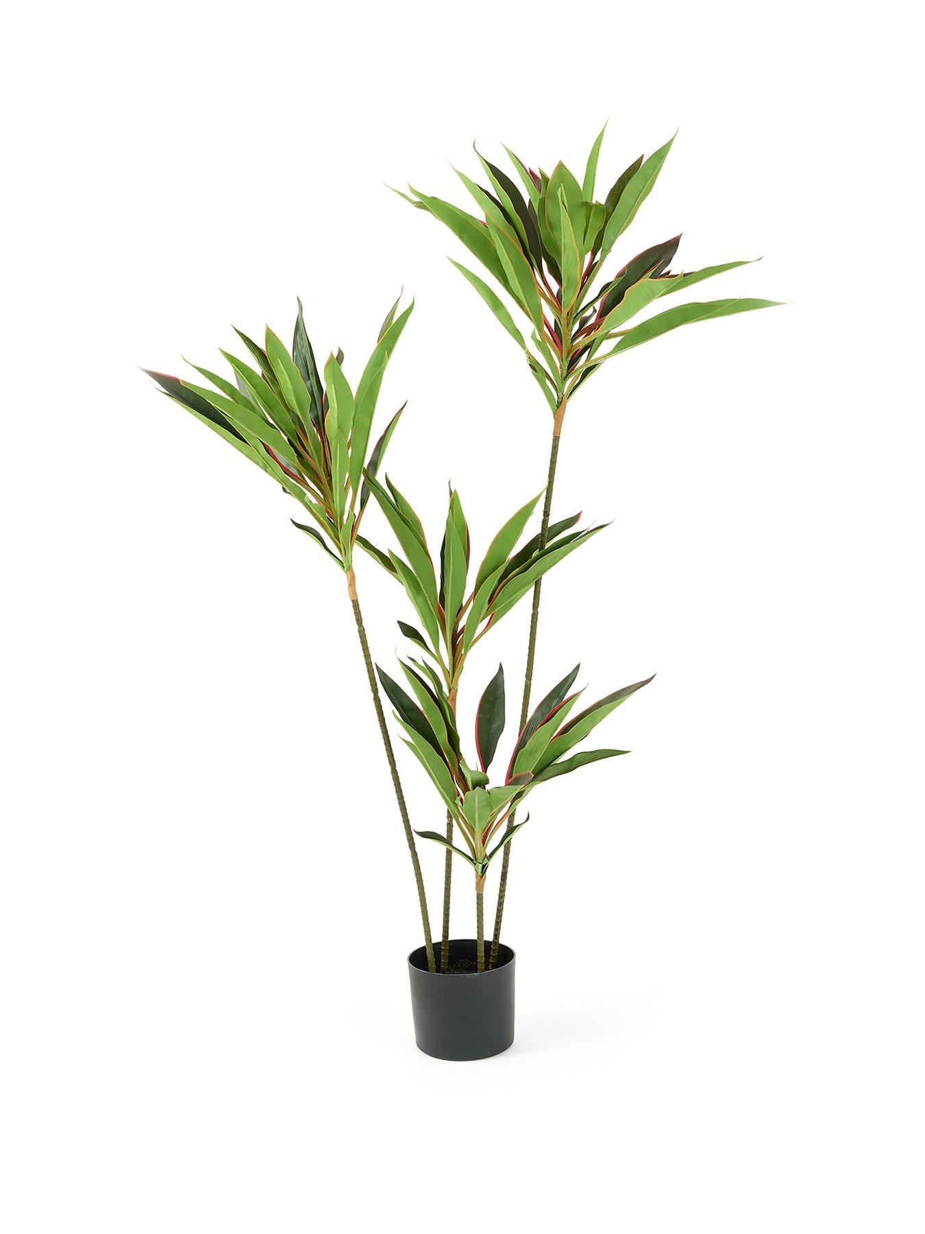 Image 2 of 6 of The Very Collection 120cm Real Touch Red Dracaena In Plastic Pot