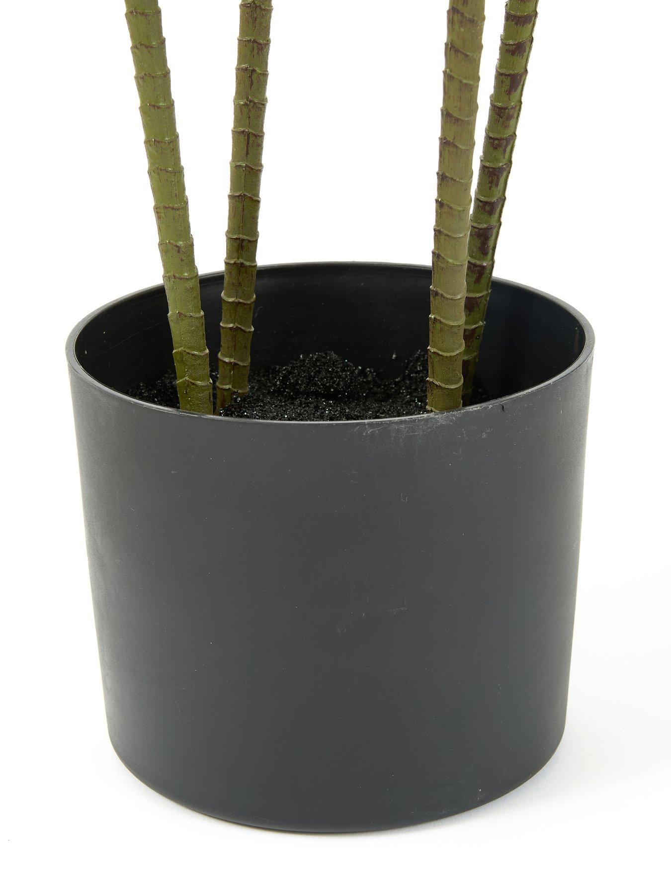 Image 4 of 6 of The Very Collection 120cm Real Touch Red Dracaena In Plastic Pot