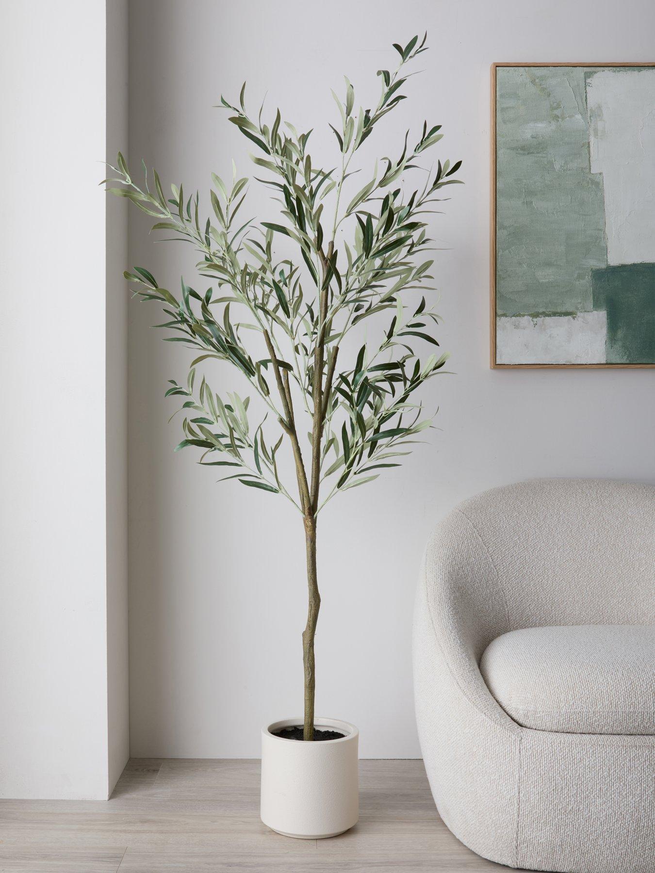 Michelle Keegan Home 180cm Olive Tree In Plastic Pot