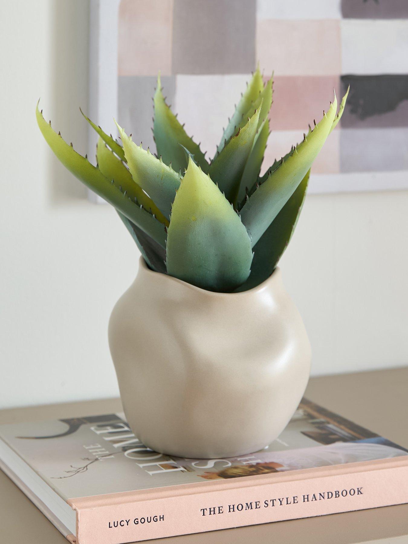 The Very Collection 30cm Aloe Absract Beige Ceramic Pot