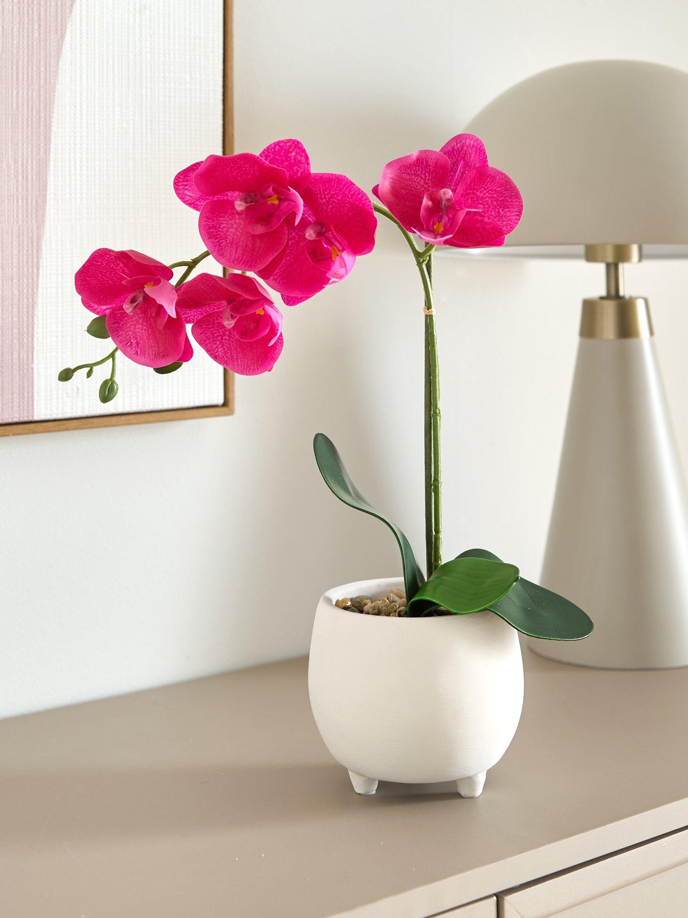 Image 1 of 6 of The Very Collection 40cm Pink Orchid In White Ceramic Pot
