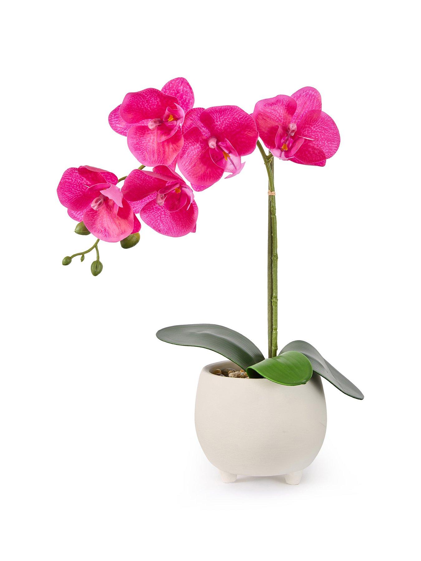 Image 2 of 6 of The Very Collection 40cm Pink Orchid In White Ceramic Pot