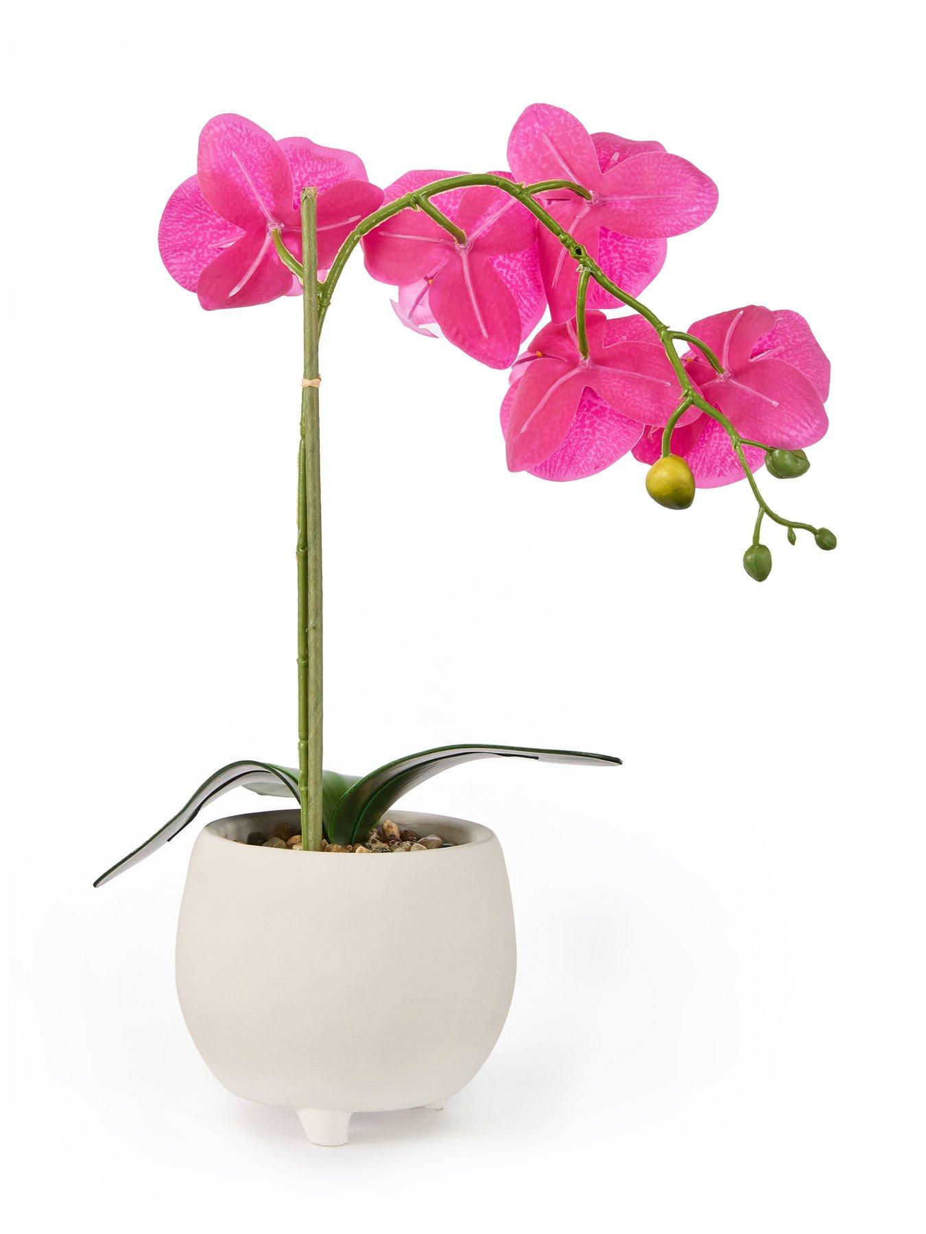 Image 3 of 6 of The Very Collection 40cm Pink Orchid In White Ceramic Pot