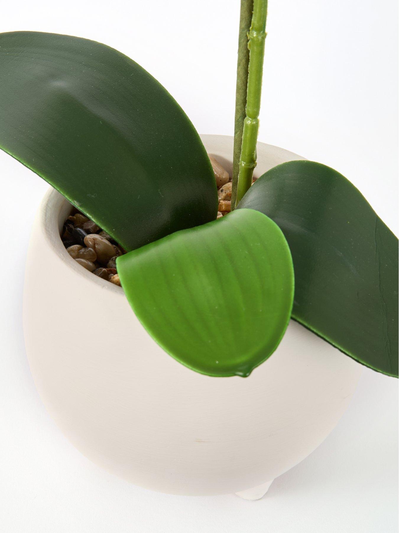 Image 5 of 6 of The Very Collection 40cm Pink Orchid In White Ceramic Pot