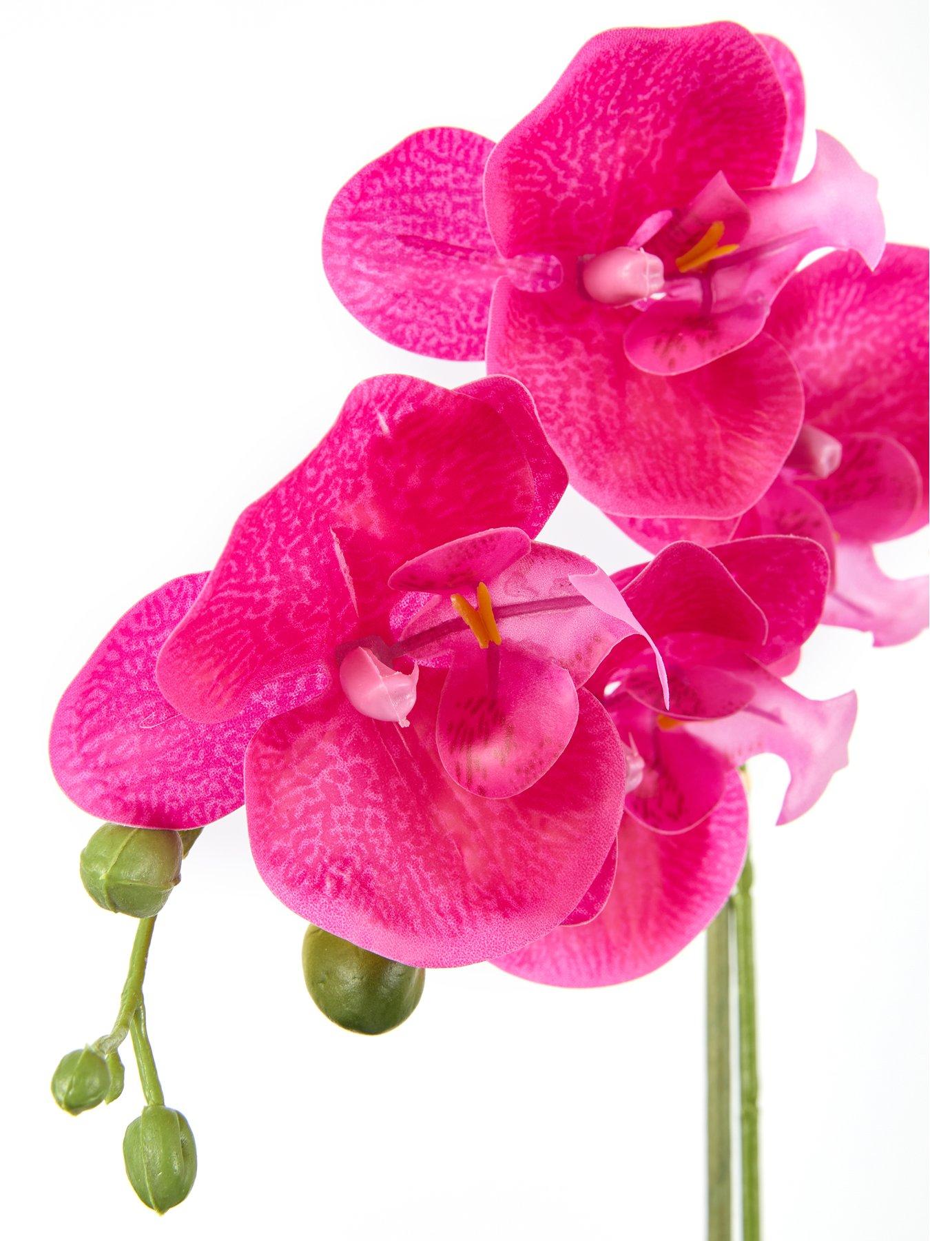 Image 6 of 6 of The Very Collection 40cm Pink Orchid In White Ceramic Pot