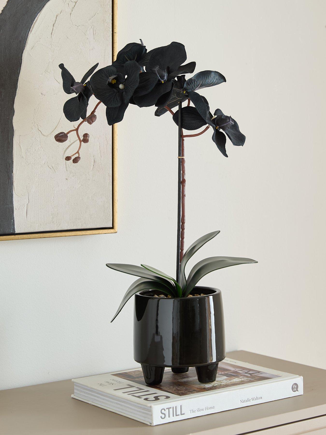Very Home 50cm Black Orchid In Black Ceramic Pot