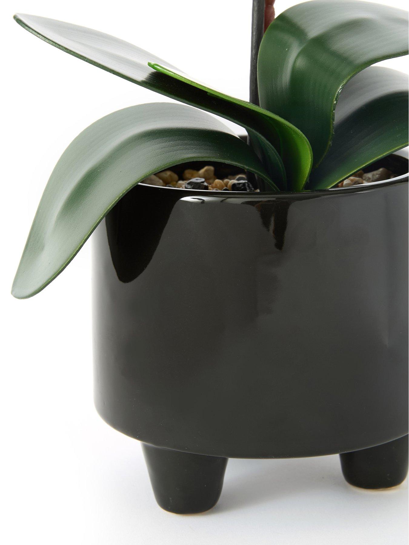 Image 4 of 6 of The Very Collection 50cm Black Orchid In Black Ceramic Pot